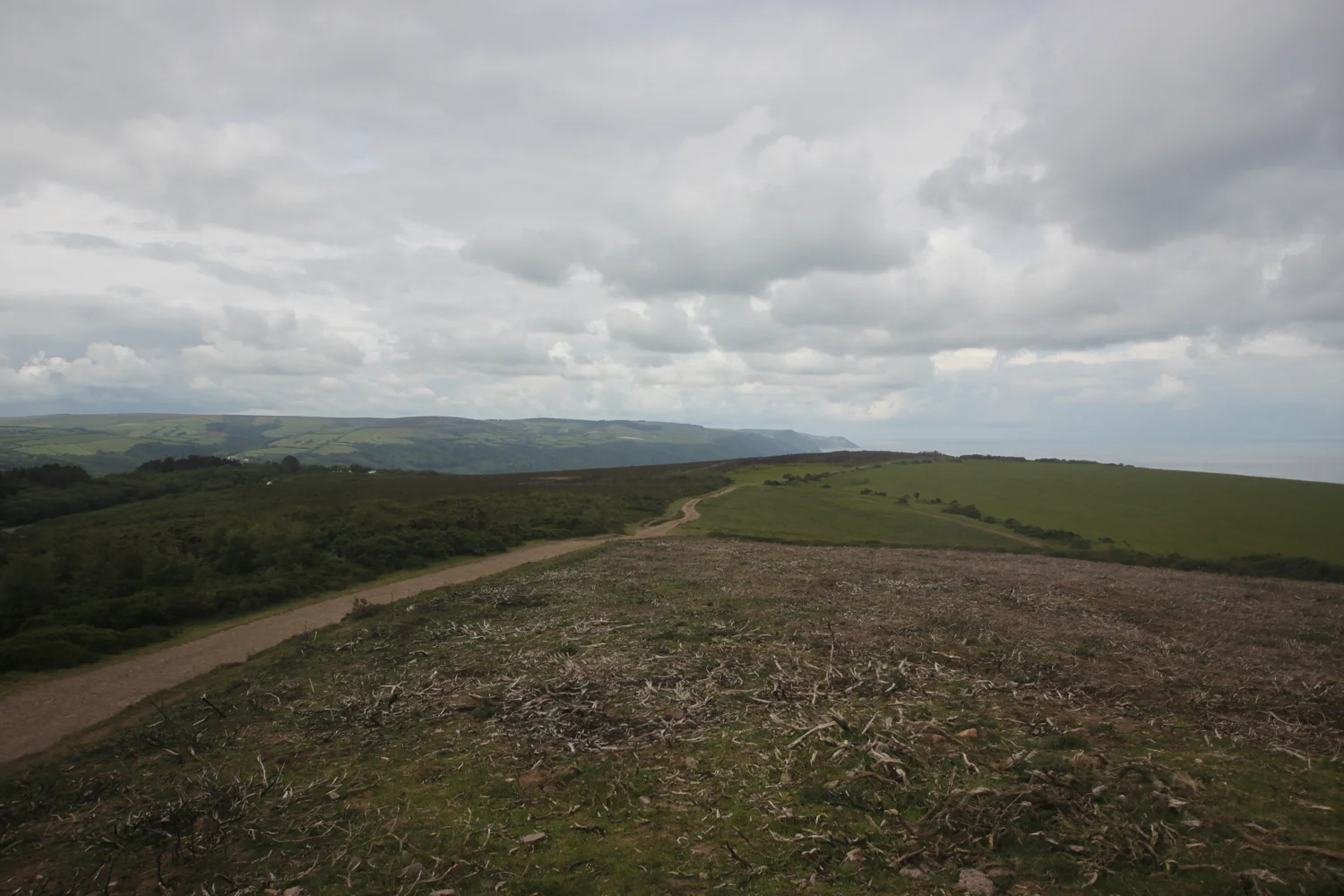 the (murky) view from selworthy beacon