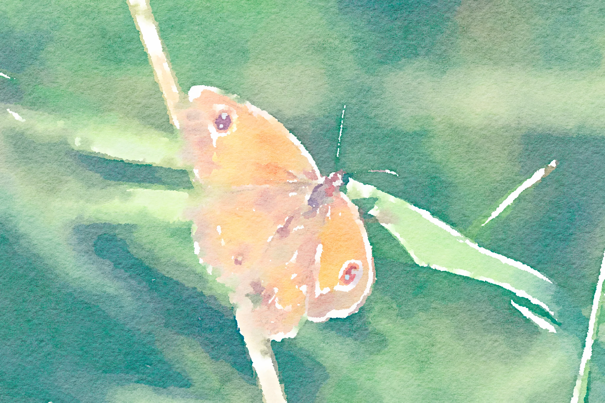 gatekeeper