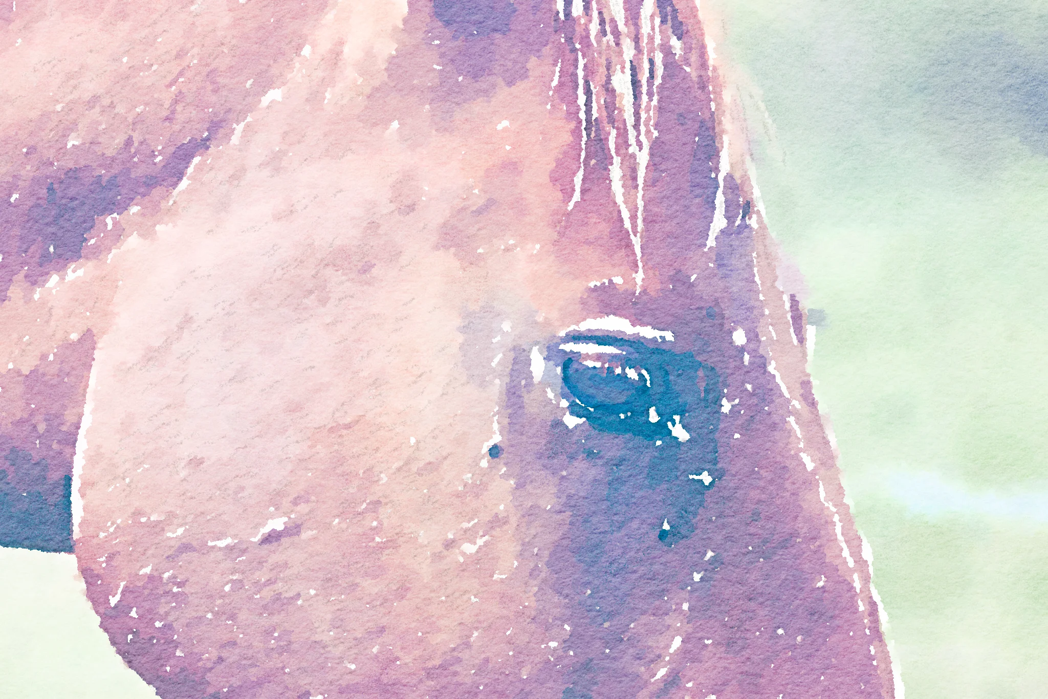 horse