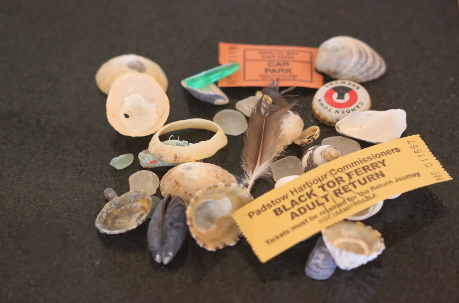 beach collection