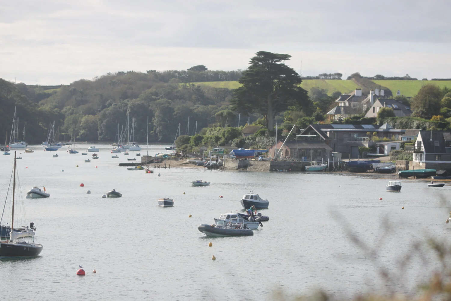 looking back to polvarth