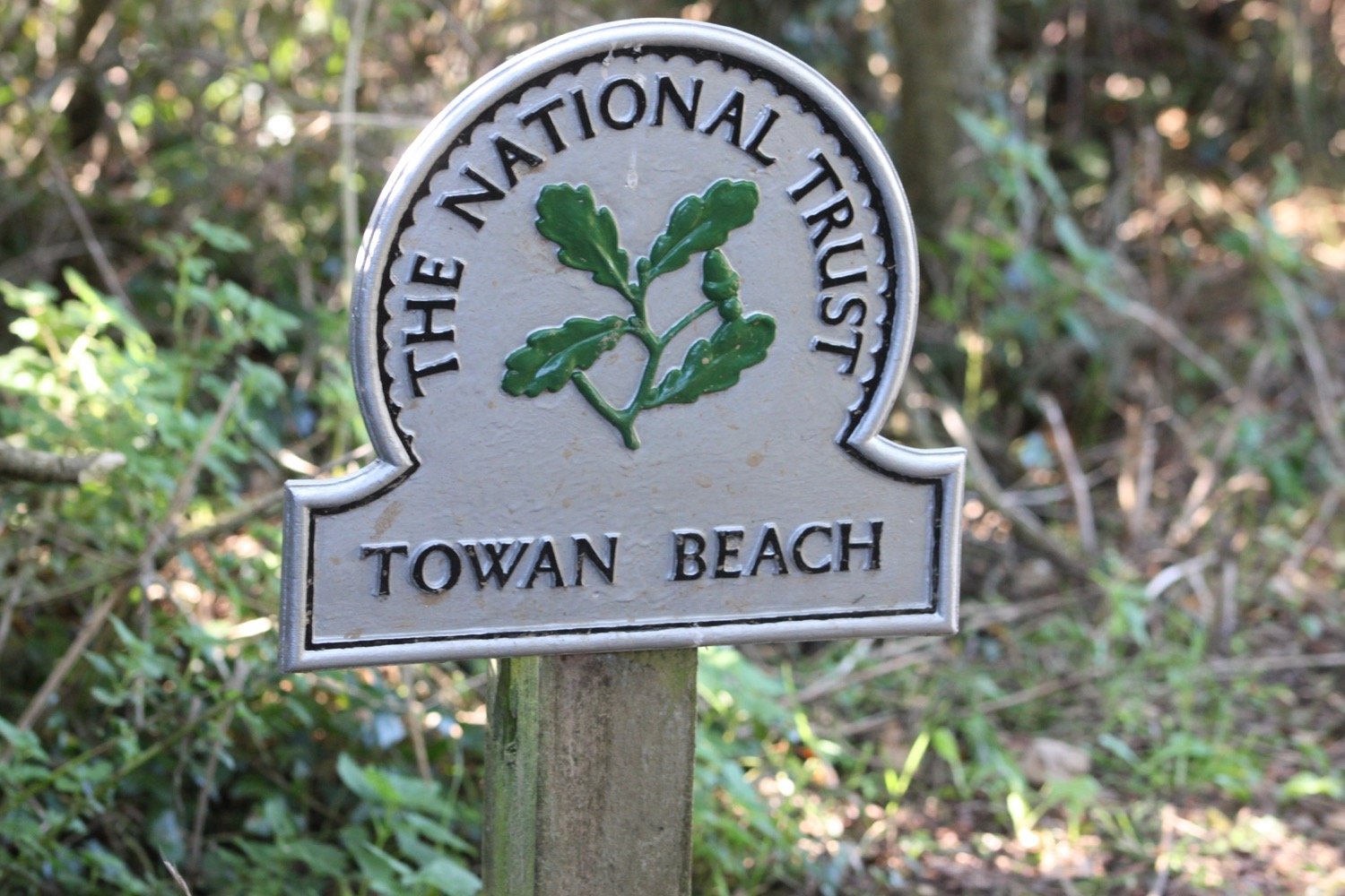 towan beach 2.jpg