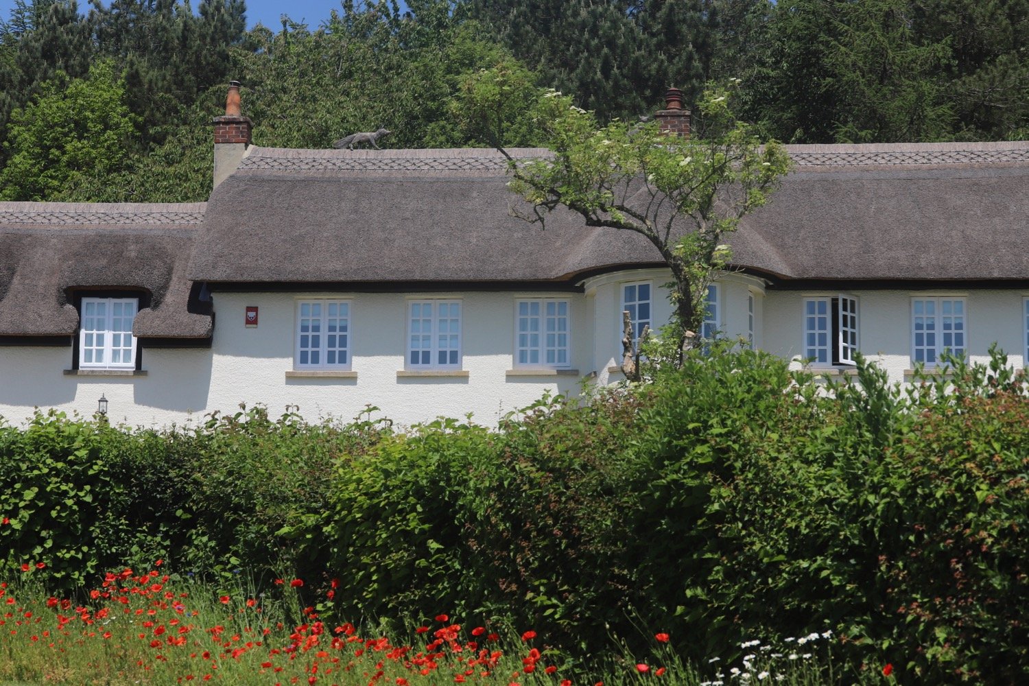 thatched house 4.jpg