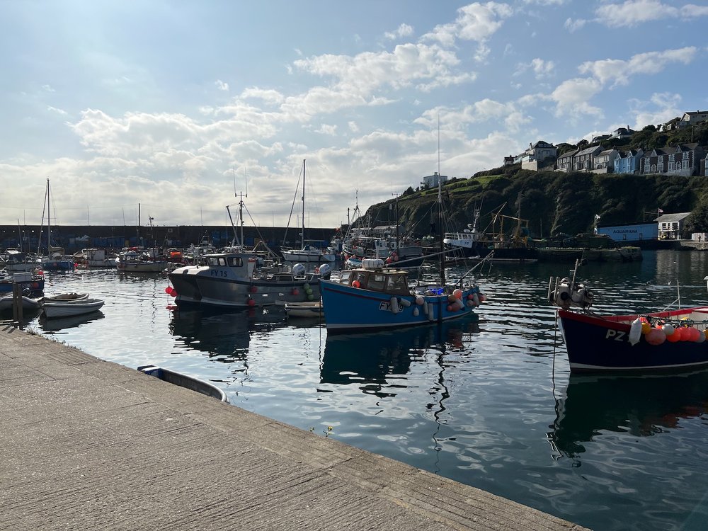 mevagissey 5.jpeg