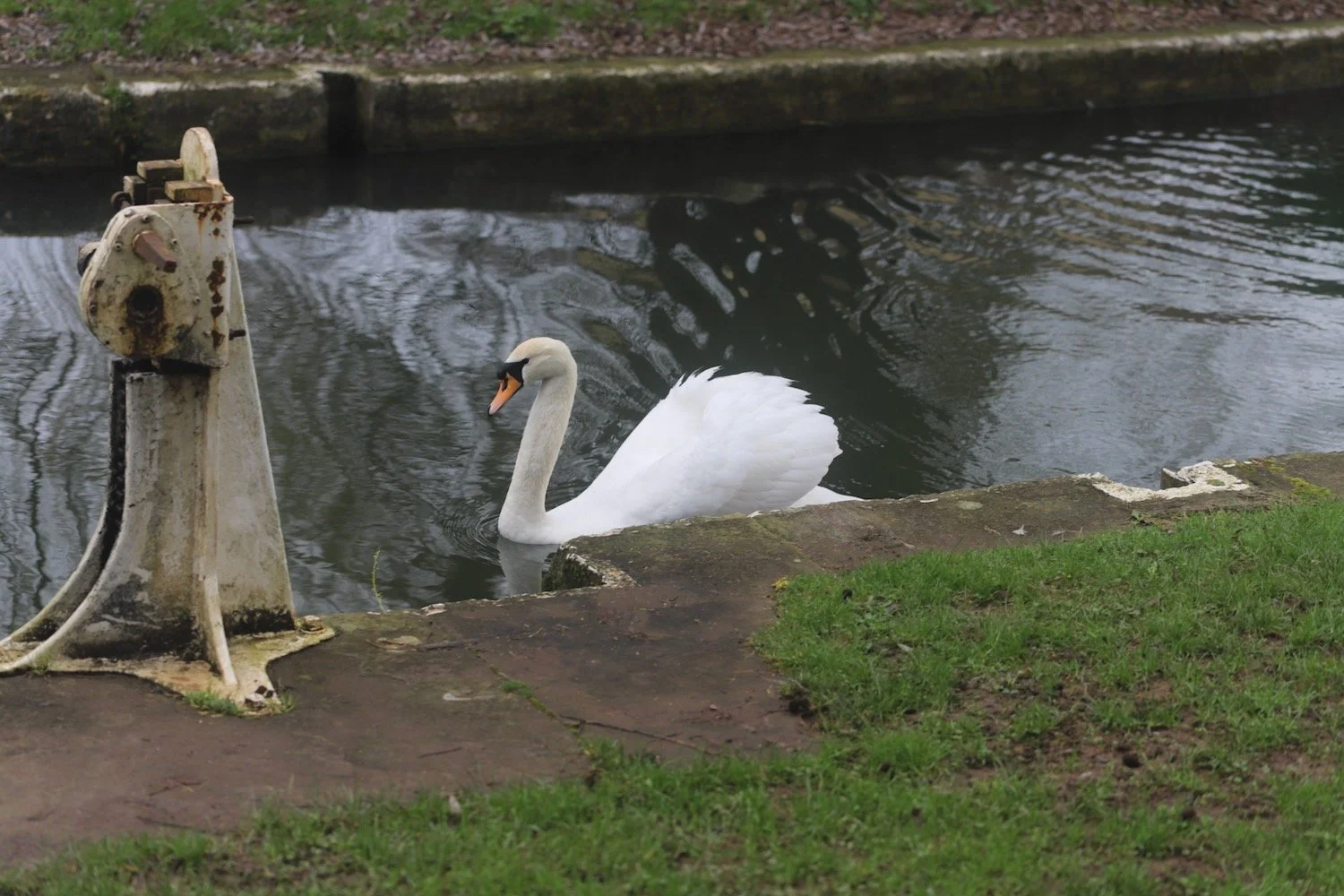 kennet and avon canal 2.jpeg