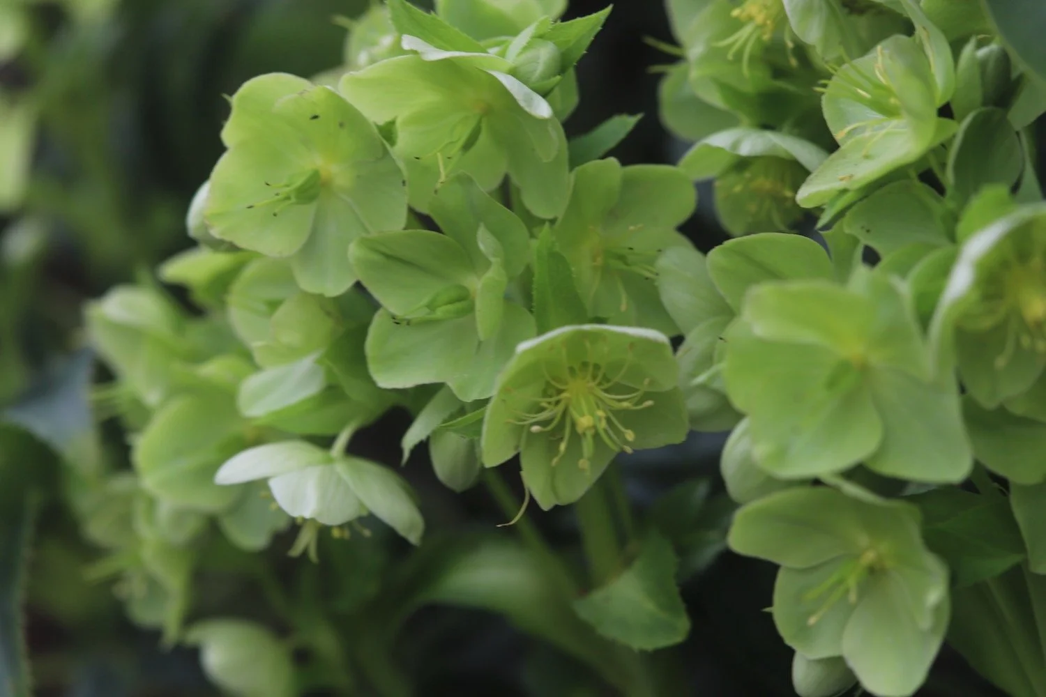 kennet and avon canal 4.jpeg