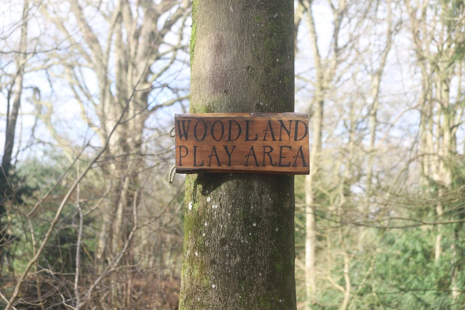 woodland play area 1.jpeg
