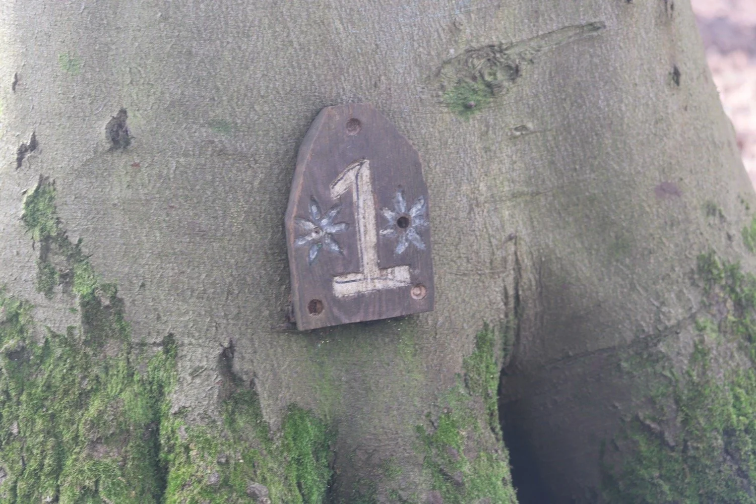 woodland play area 2.jpeg