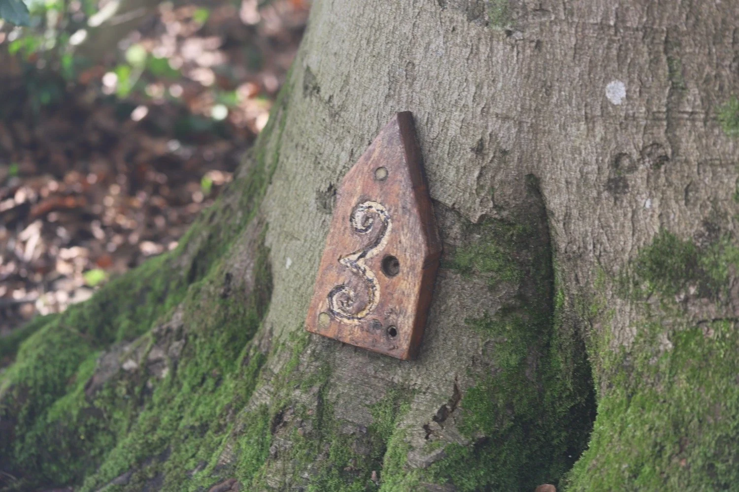 woodland play area 4.jpeg