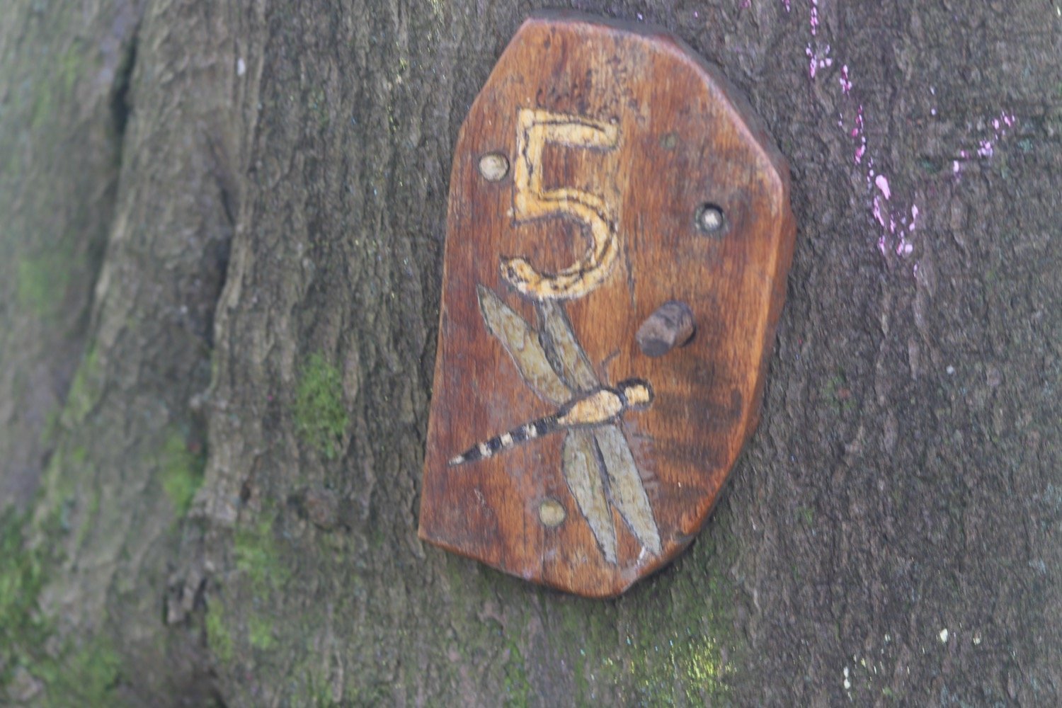 woodland play area 5.jpeg