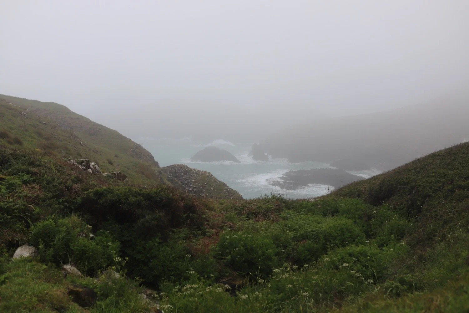 kynance cove 2.jpeg
