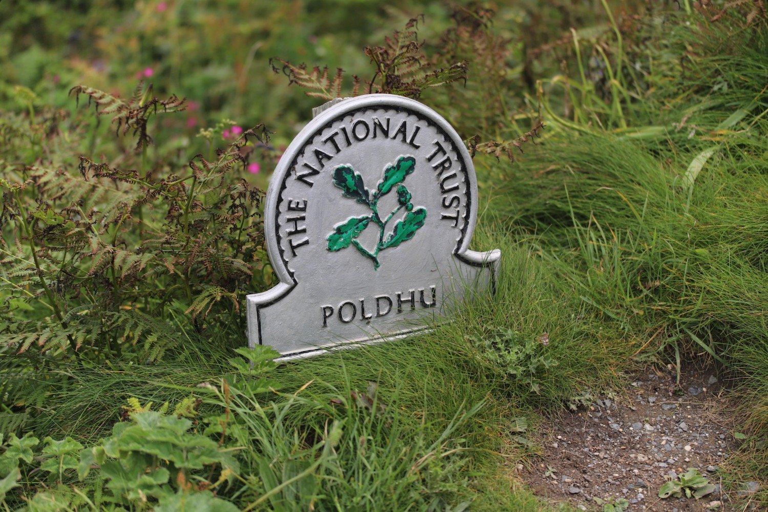 poldhu cove 3.jpeg