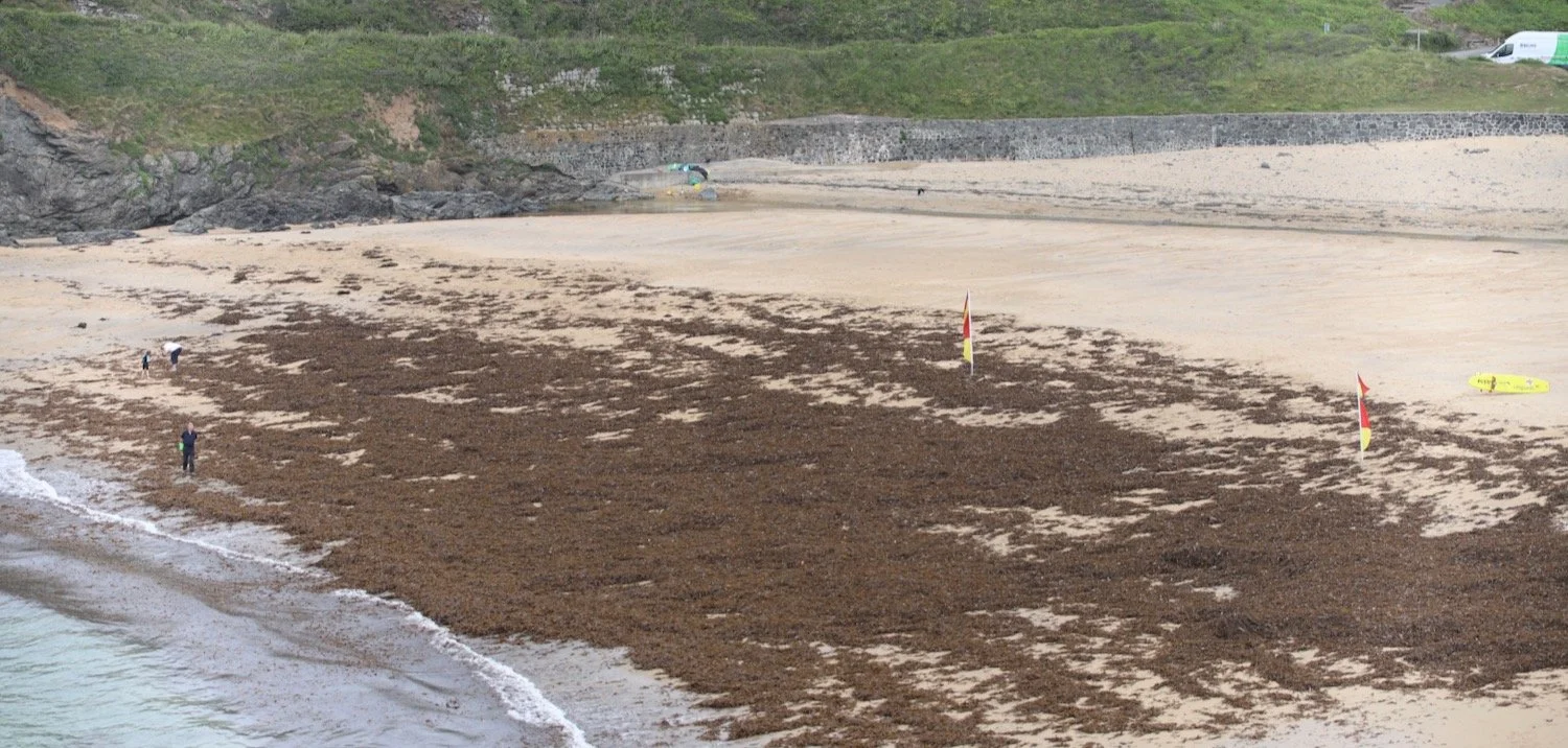 poldhu cove 4.jpeg