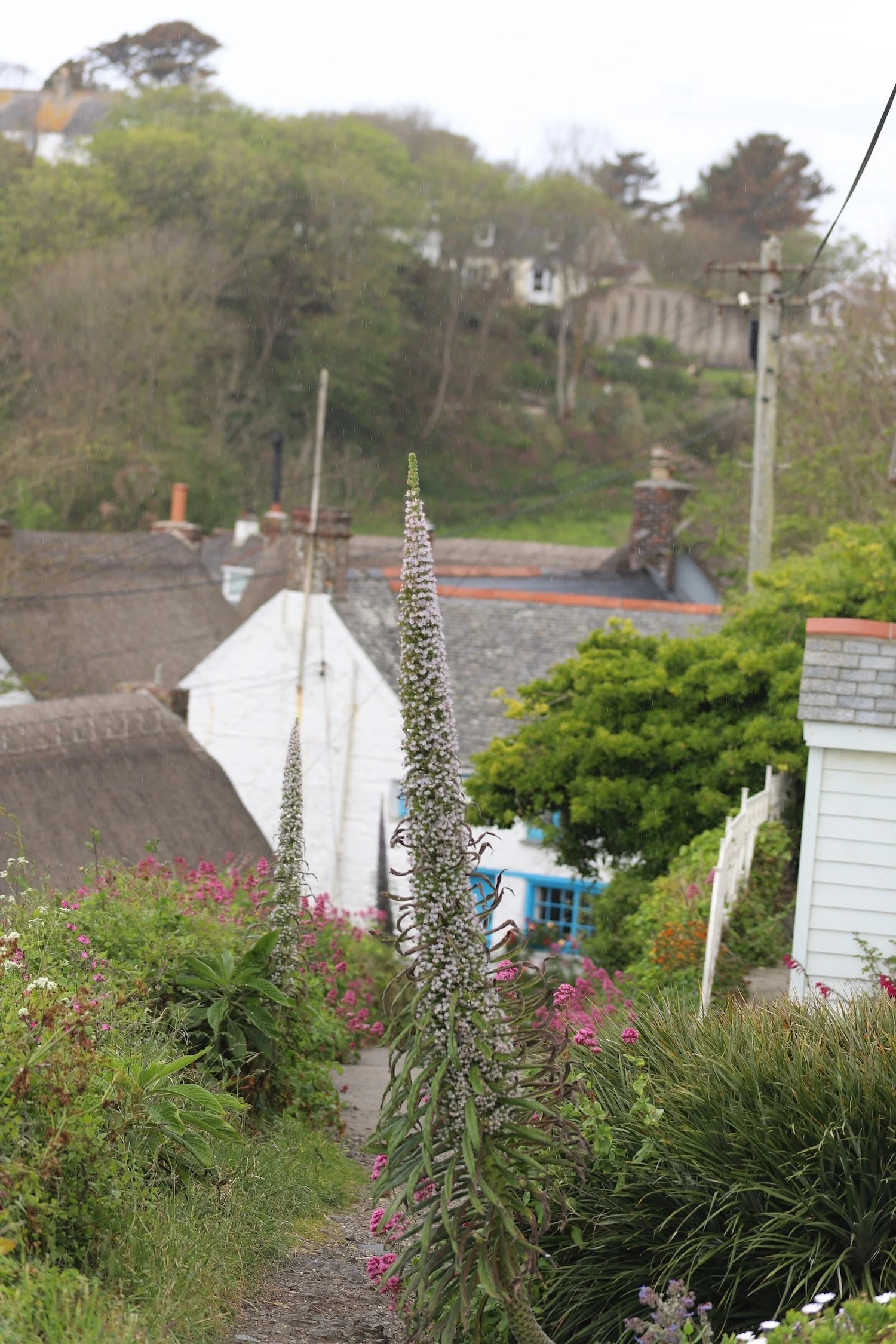 cadgwith 5.jpeg