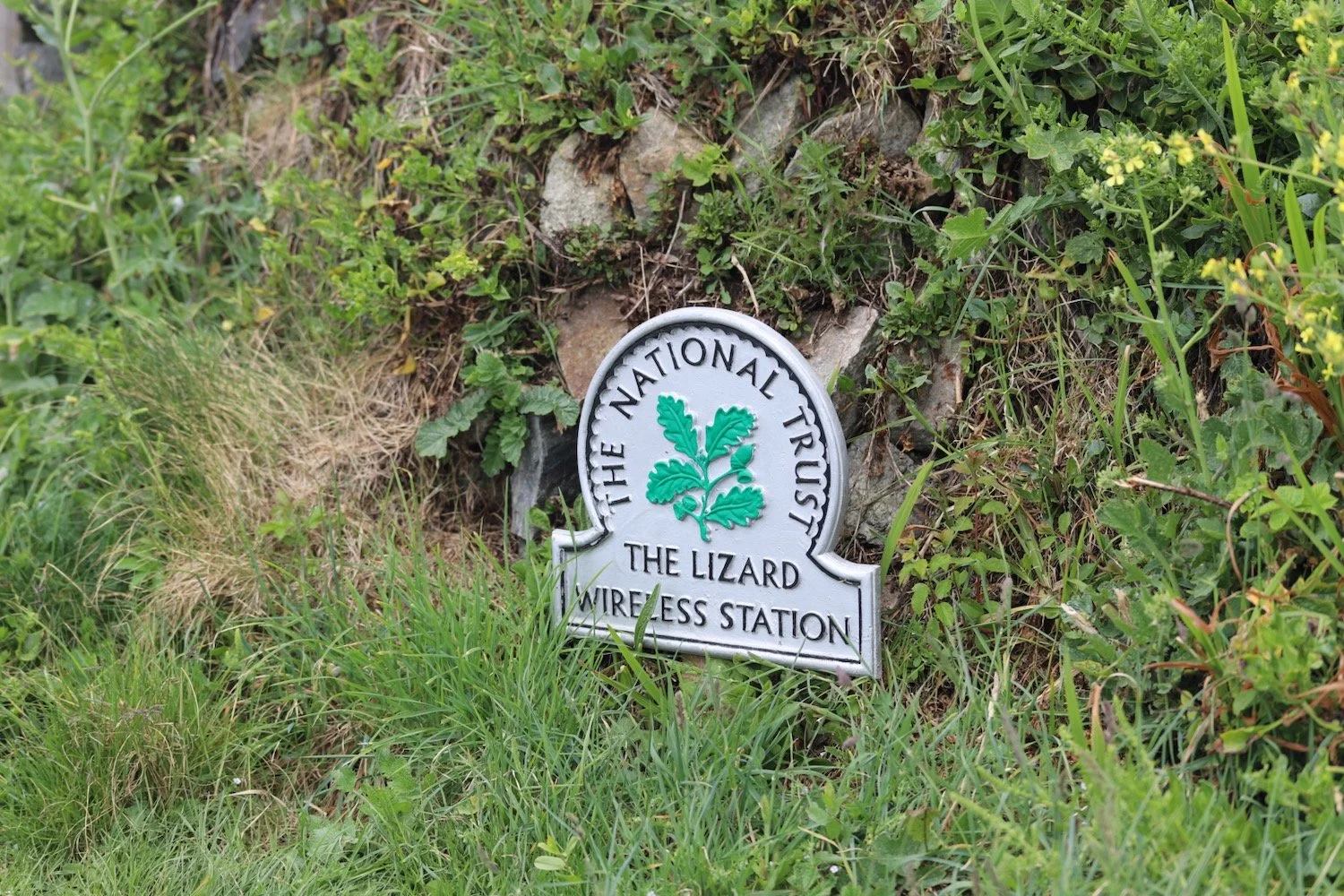 lizard wireless station 1.jpeg