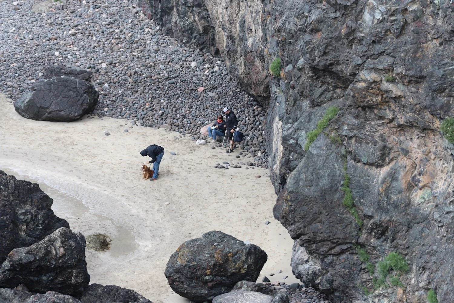 kynance cove 3.jpeg