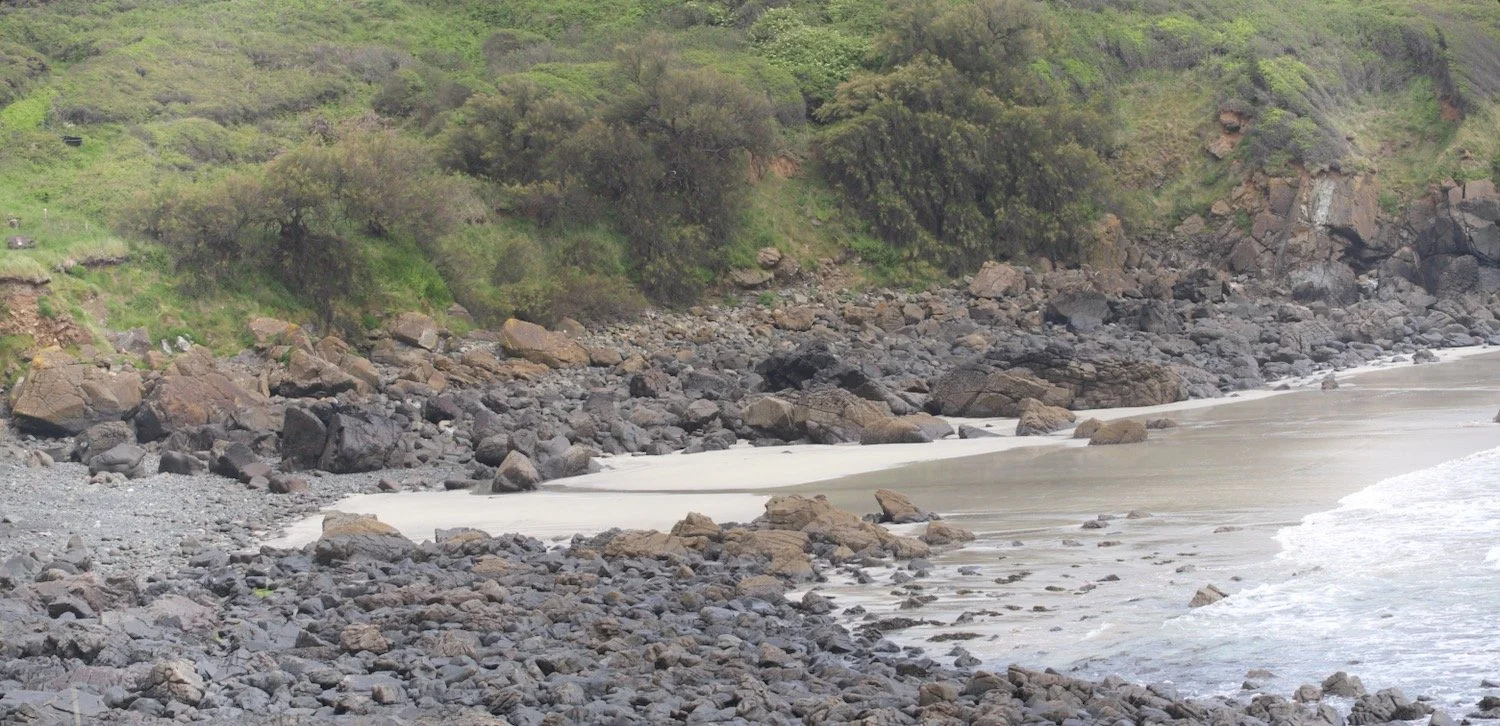 porthbeer cove 1.jpeg