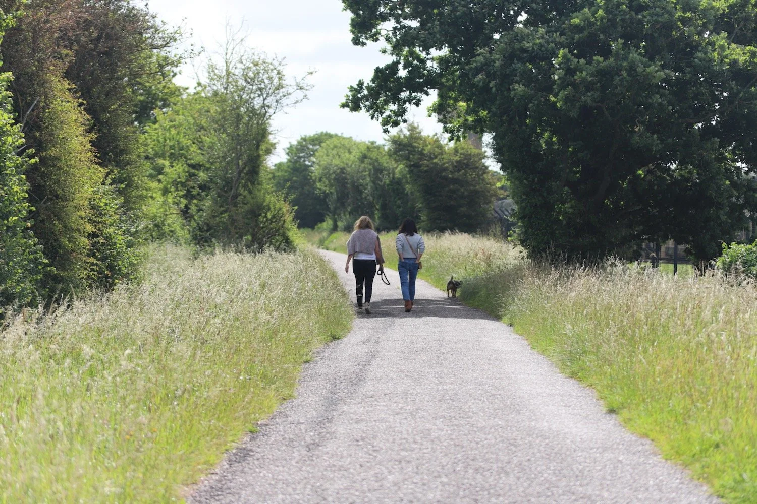 easy walking 5.jpeg