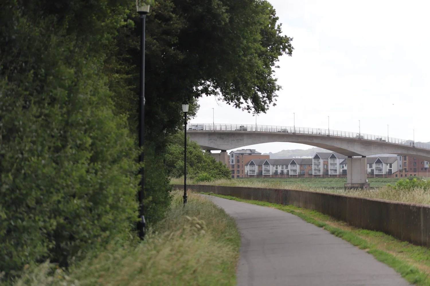 taw bridge 1.jpeg