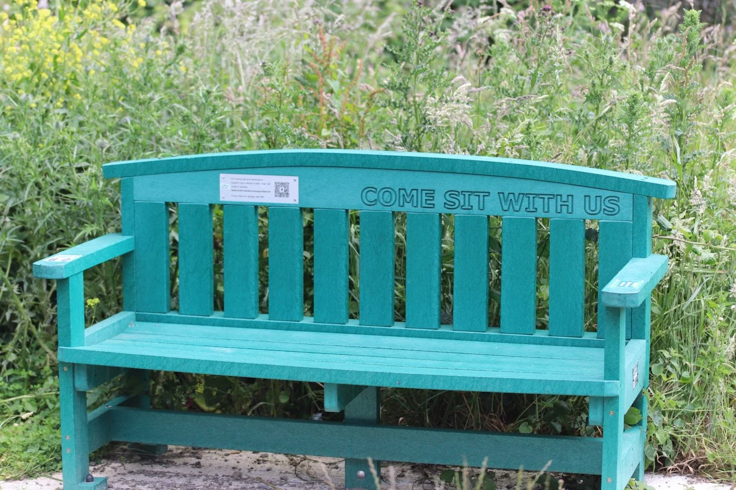 taw bridge 2.jpeg