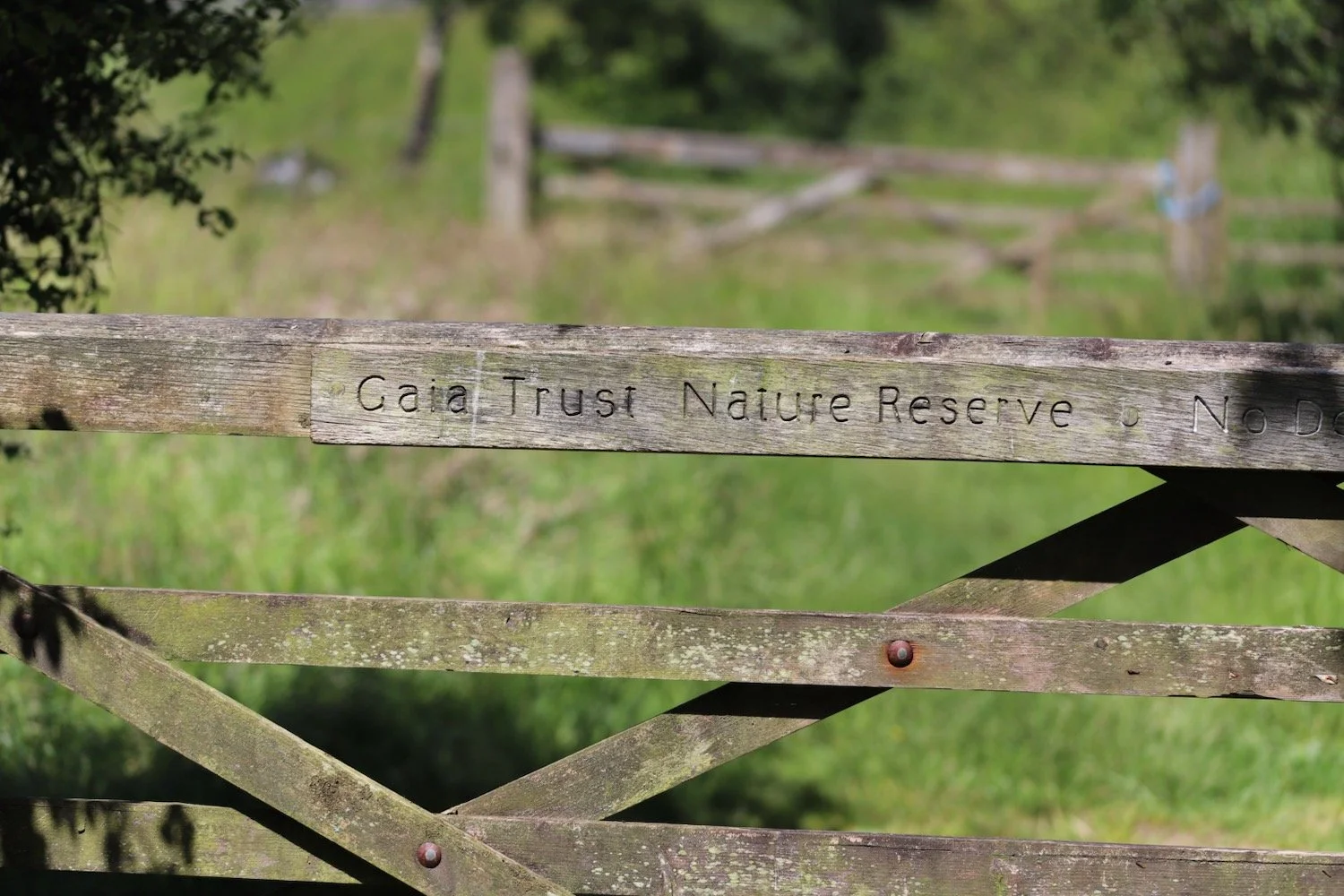 gaia trust 1.jpeg