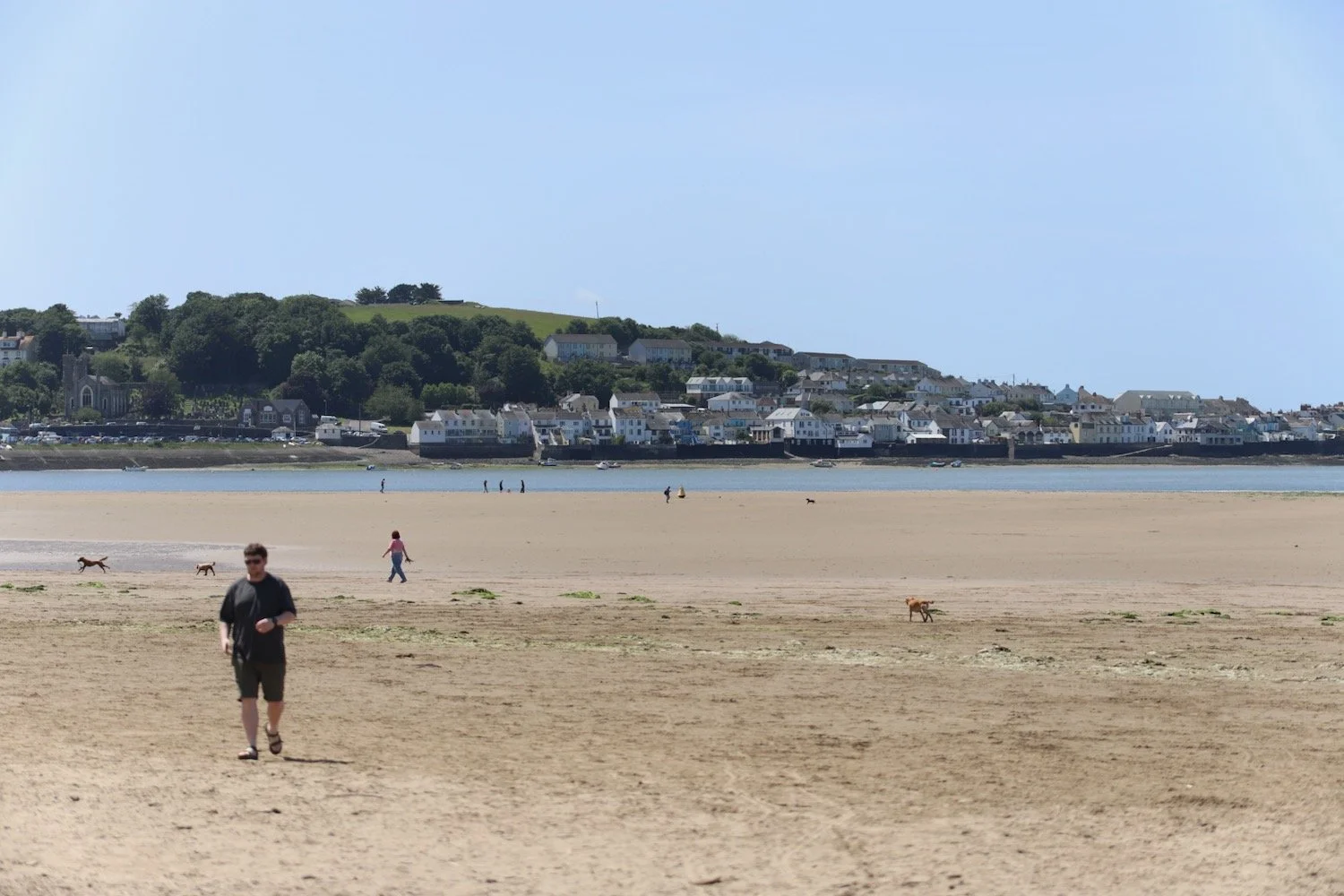 instow 1.jpeg