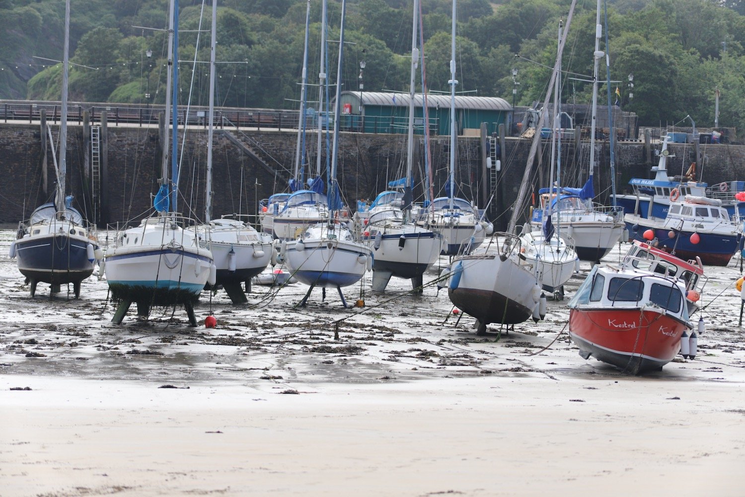 ilfracombe 8.jpeg