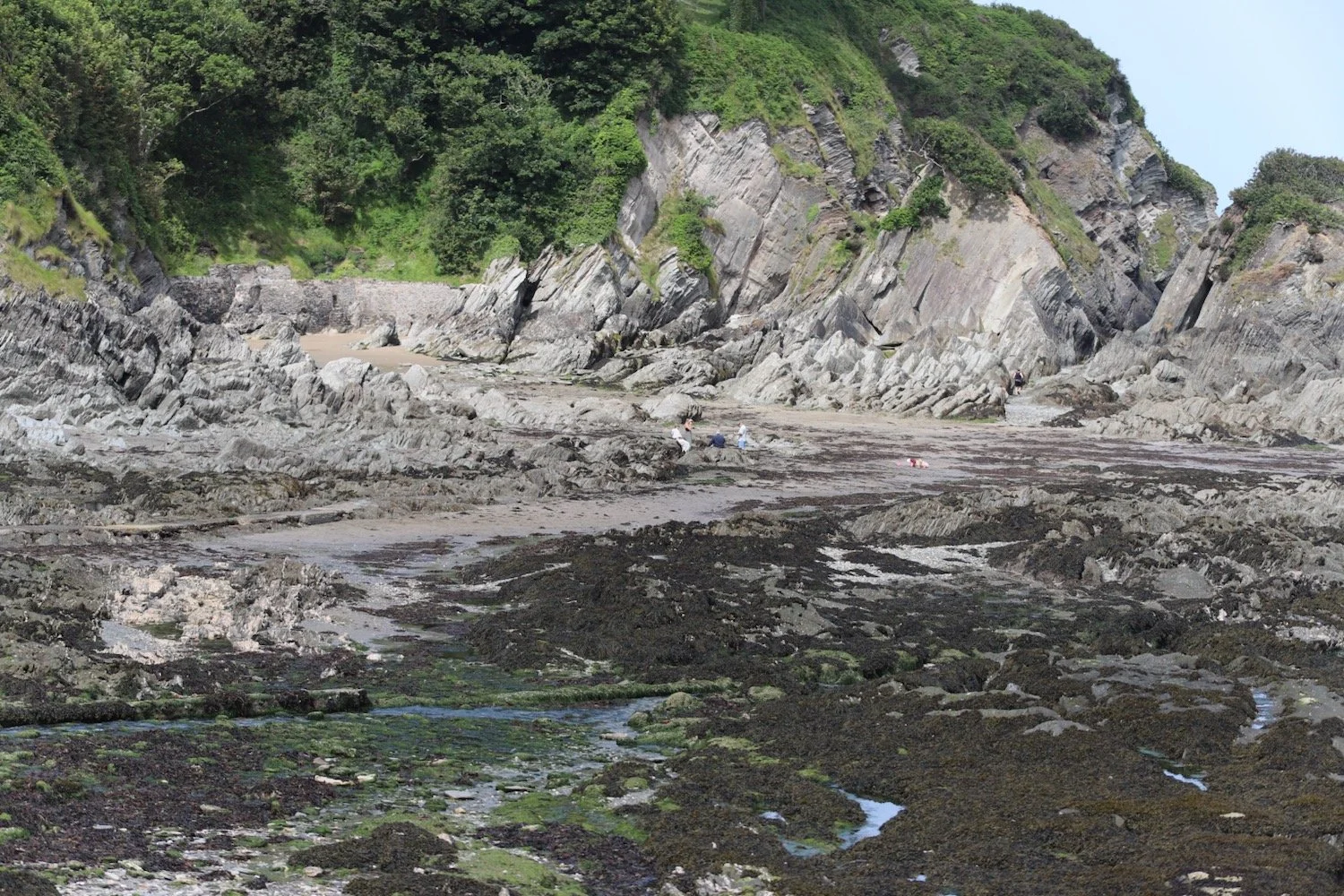 lee bay 1 .jpeg