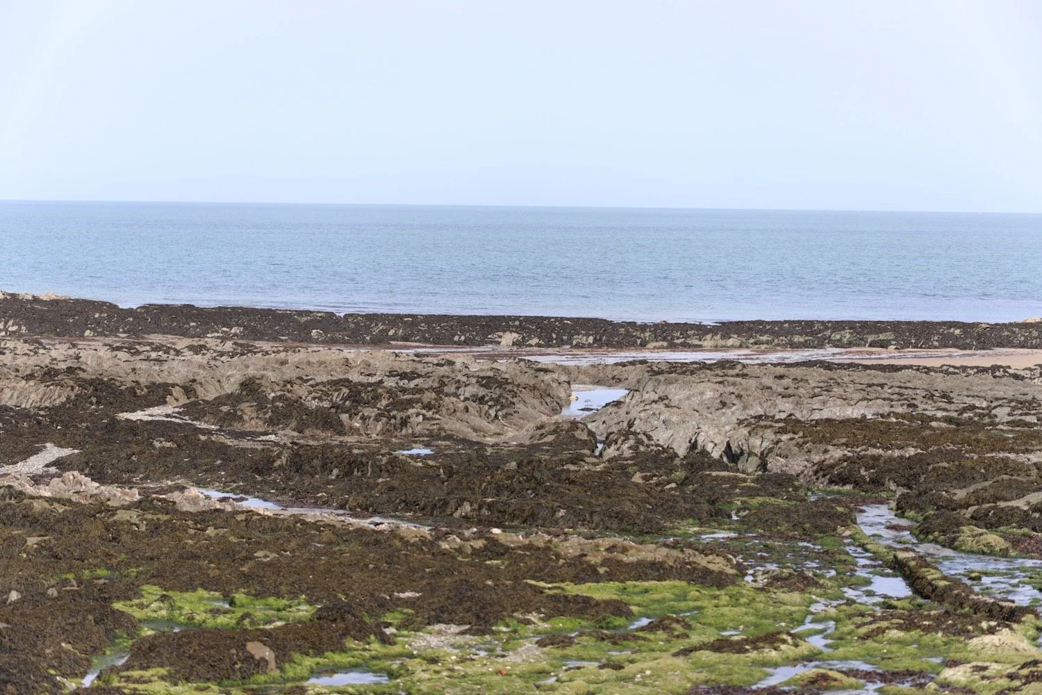 lee bay 3.jpeg