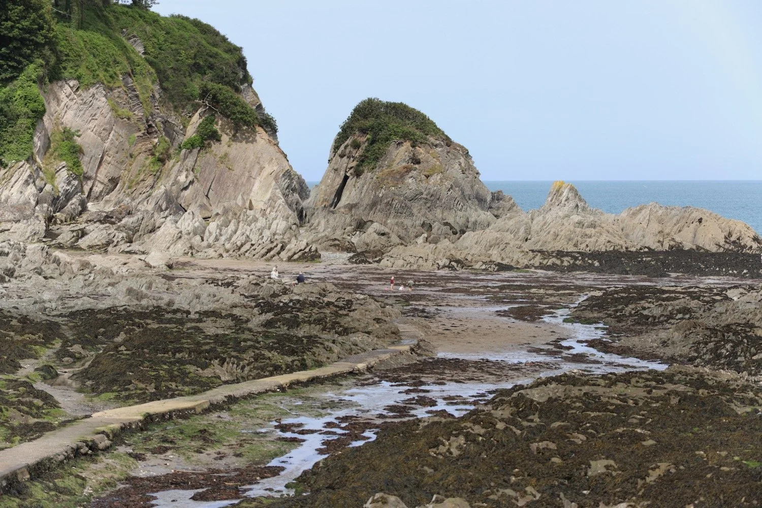 lee bay 4.jpeg