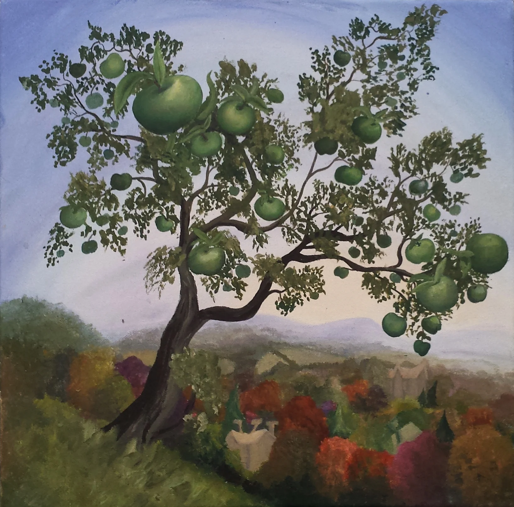apple tree.jpg