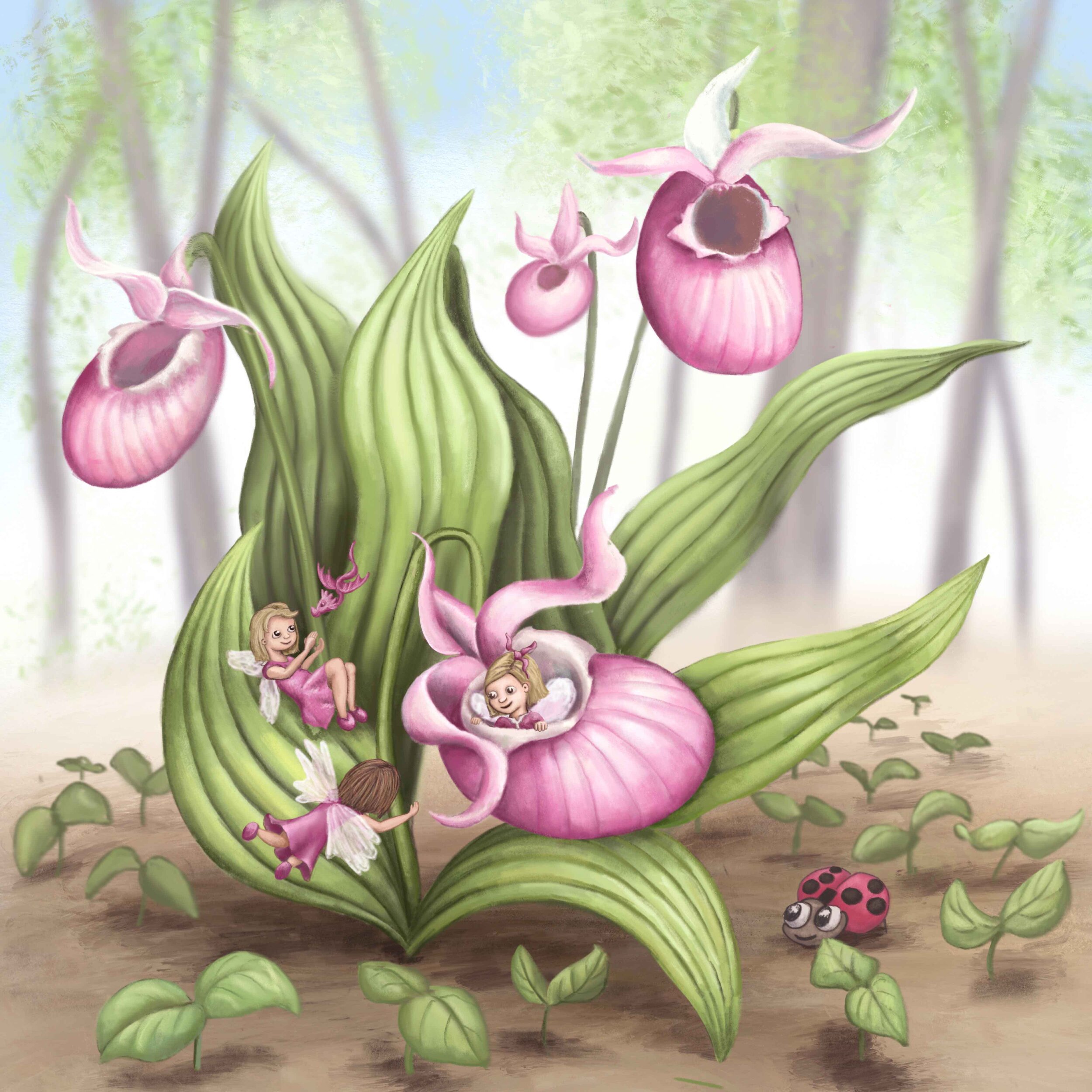 Slipper Orchid Fairies