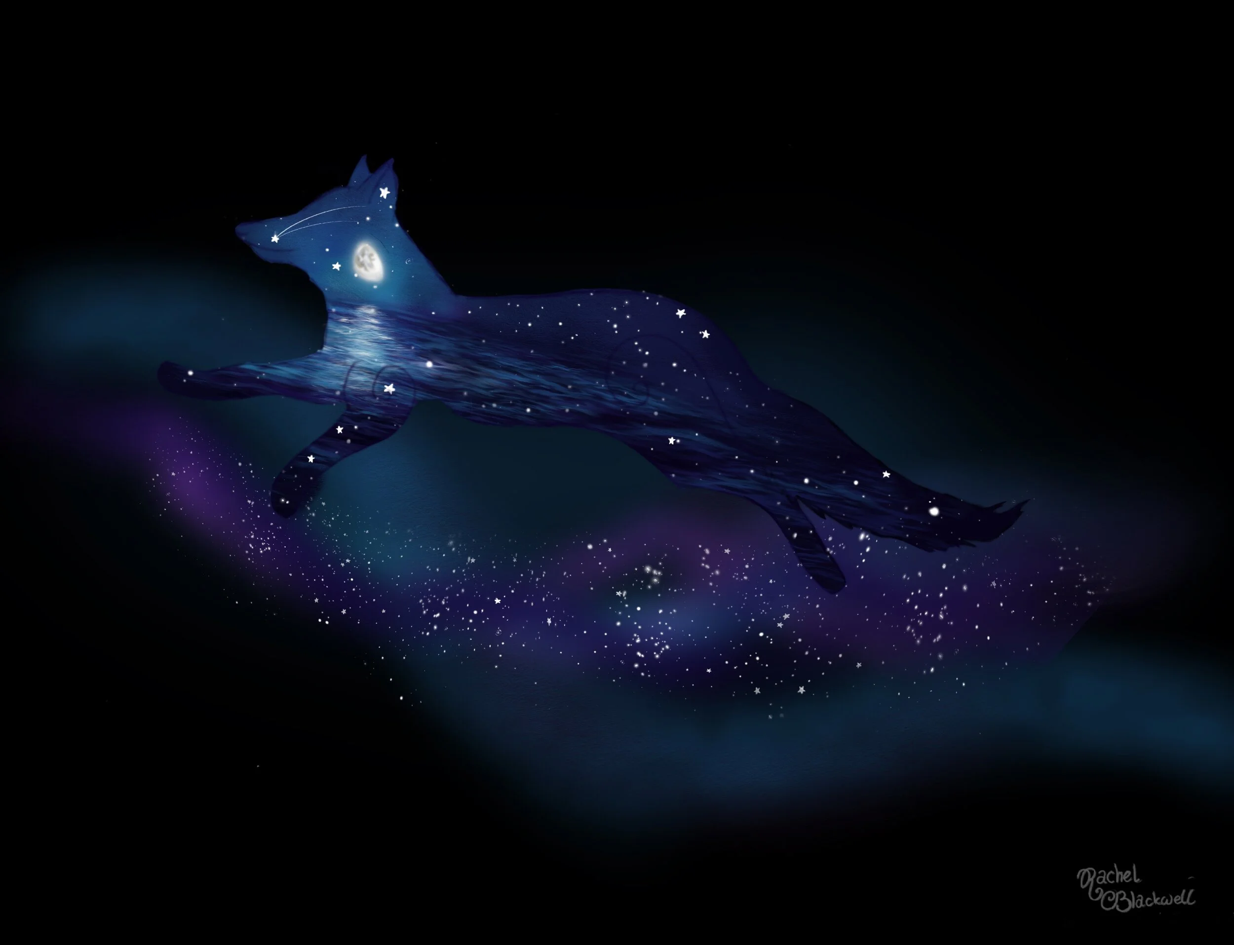 The Cosmic Fox