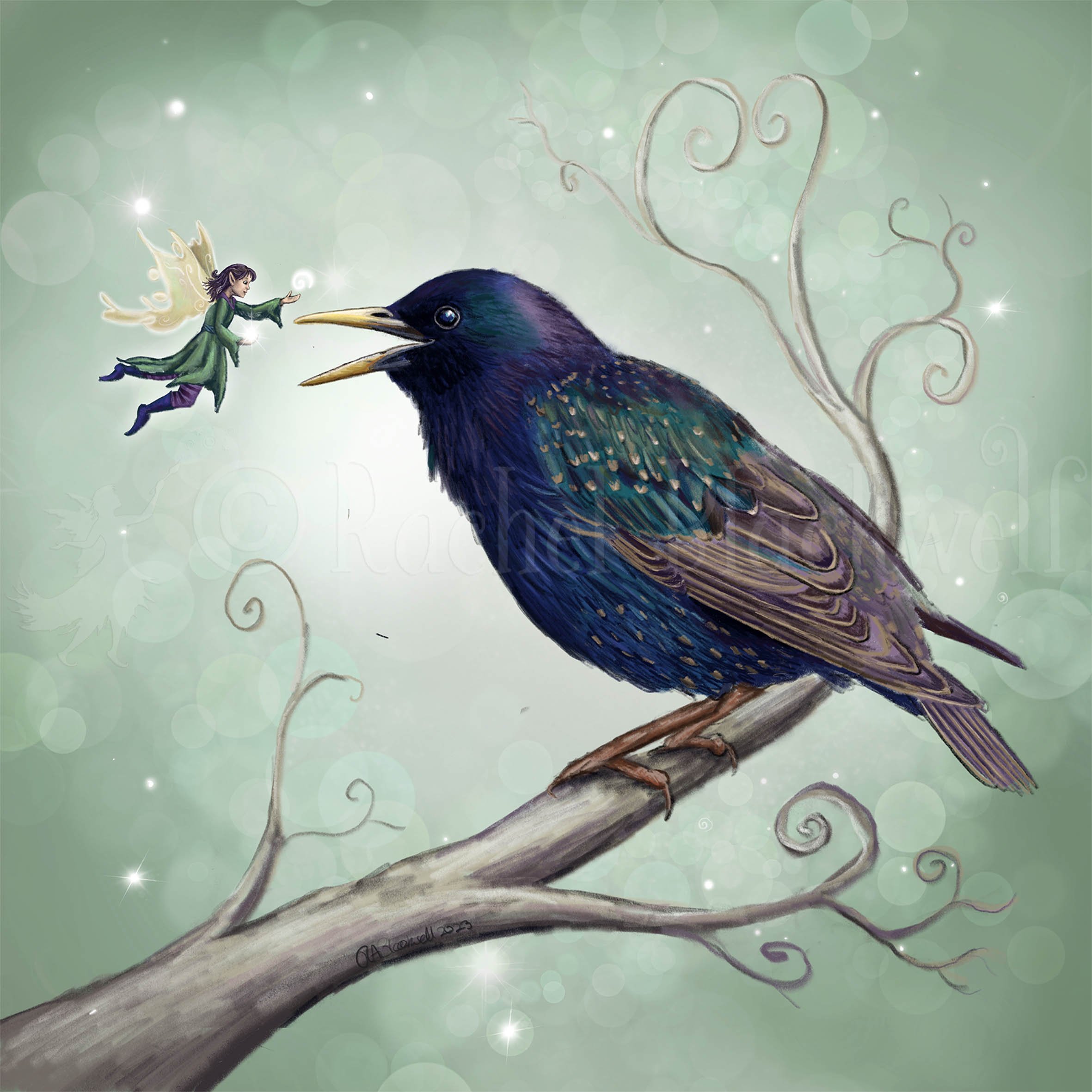 The StarlIng Fairy -wm.jpg