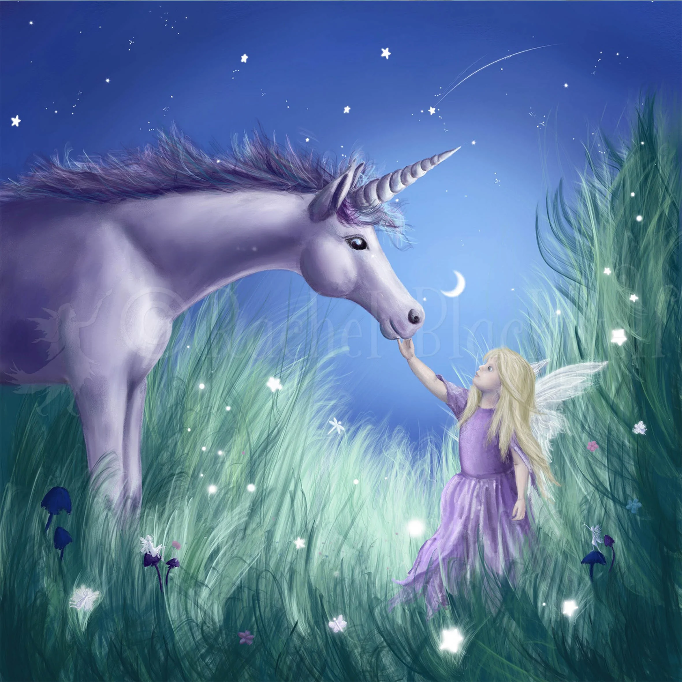 Enchanted Encounter -wm.jpg