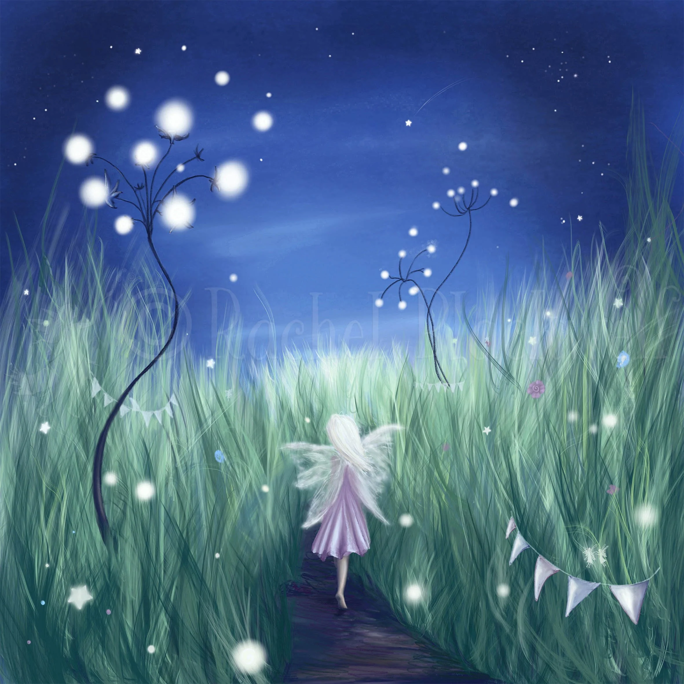 Fairy Night -wm.jpg