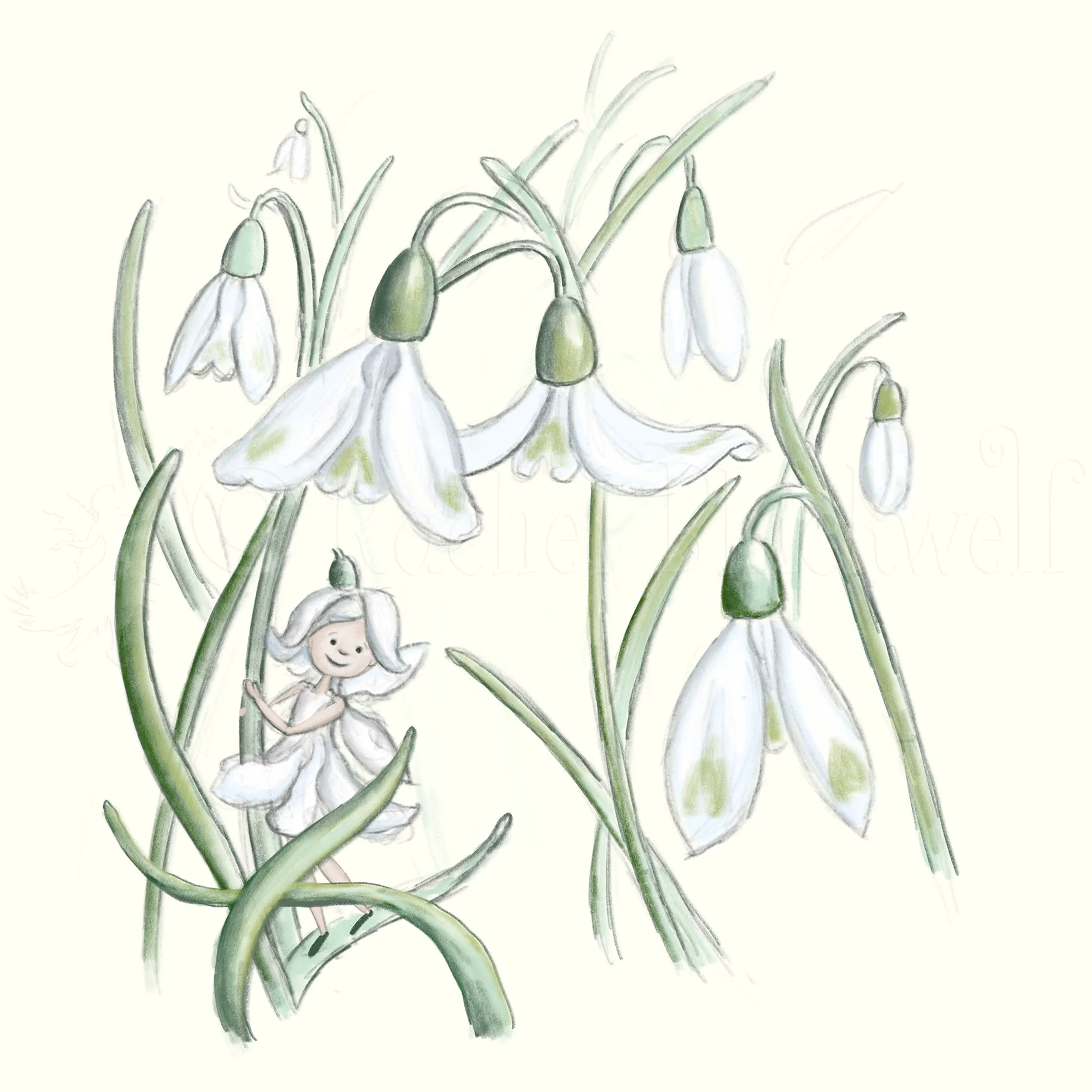 Snowdrop Fairy -wm.jpg