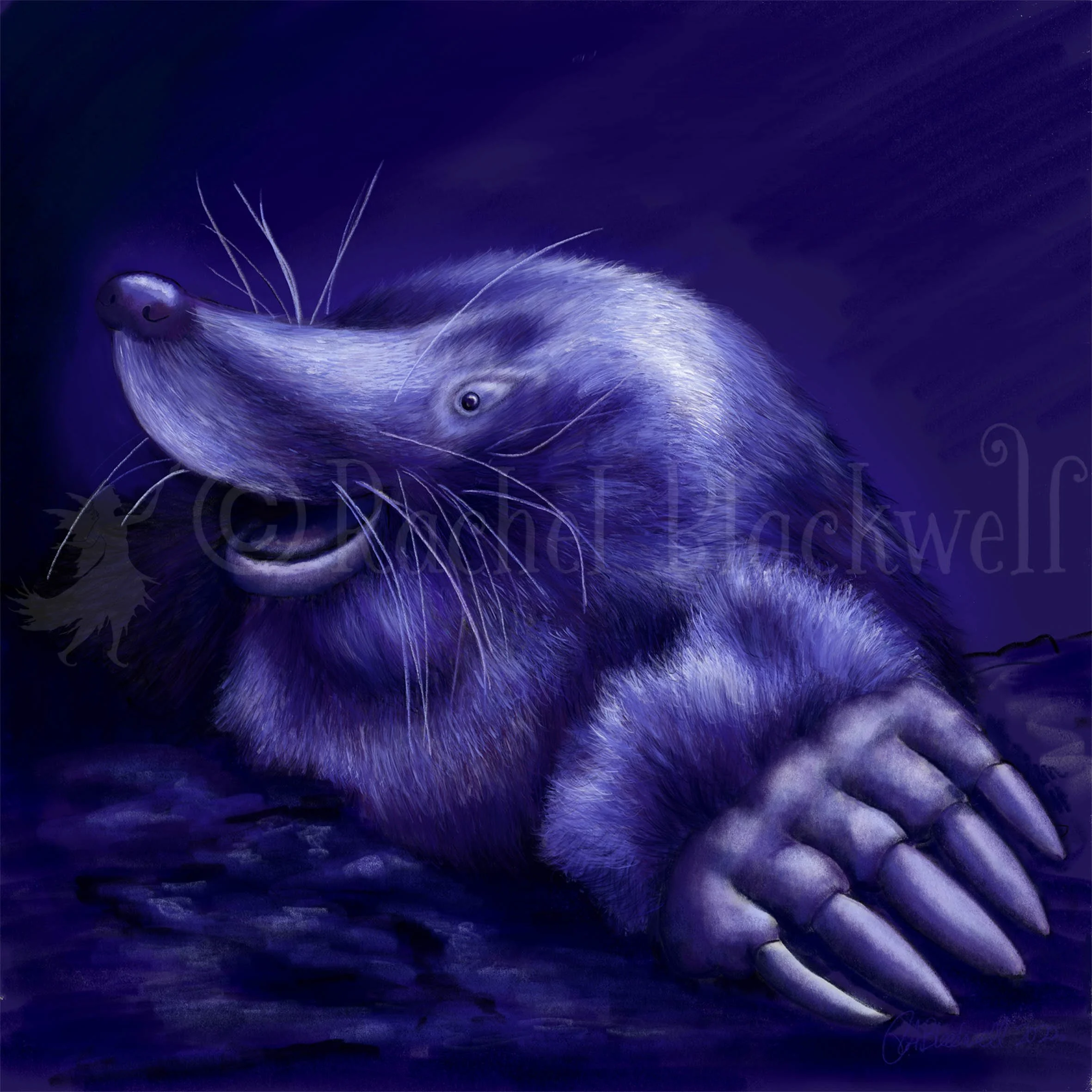 Mole -wm.jpg