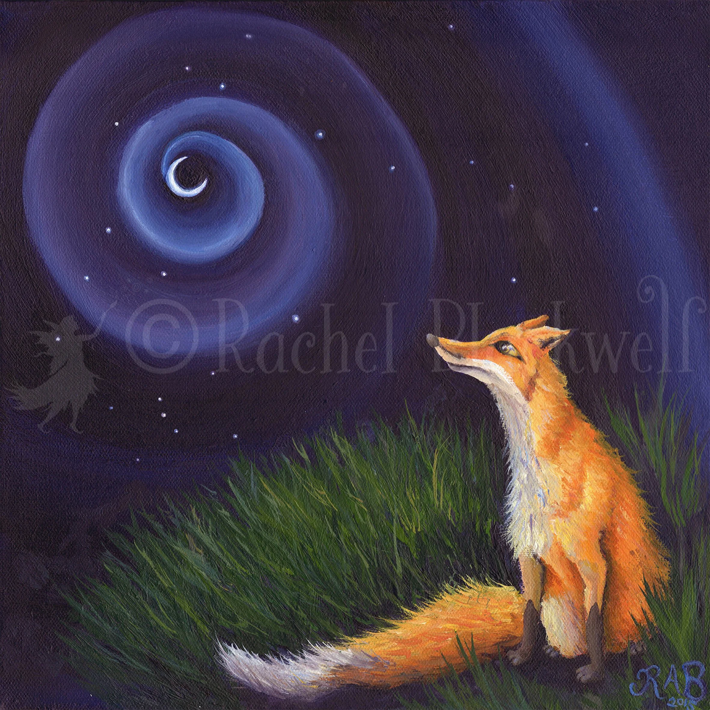 Moon Fox -wm.jpg
