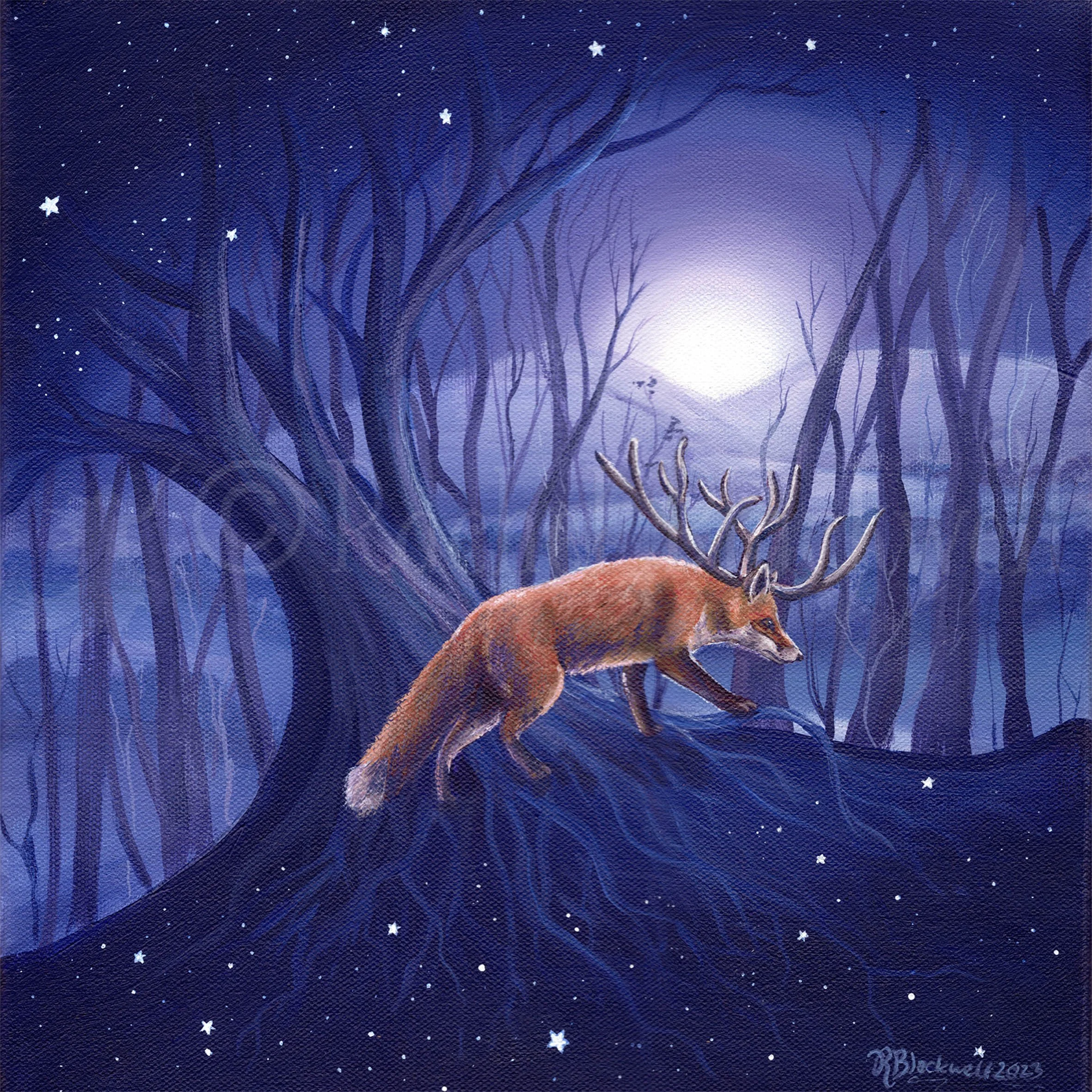 Stars Above Stars Below -wm.jpg
