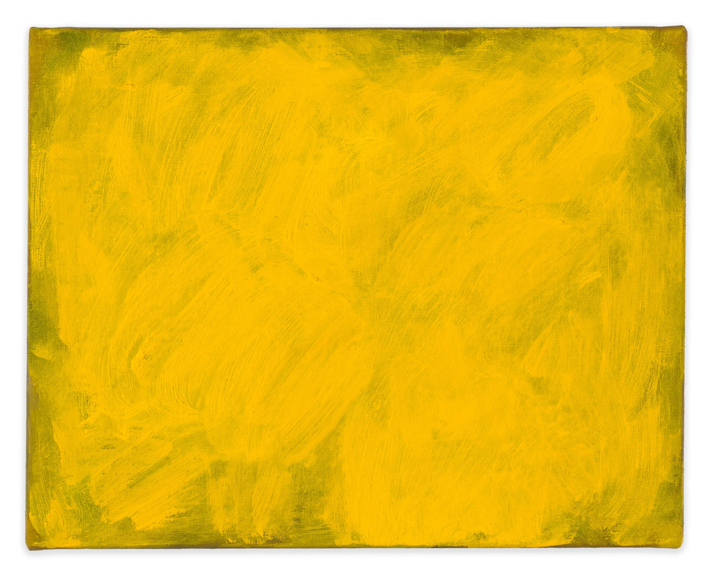 Eleanor Louise Butt. Interwoven warmth, 2026, oil on linen, 28 x 35.5 cm