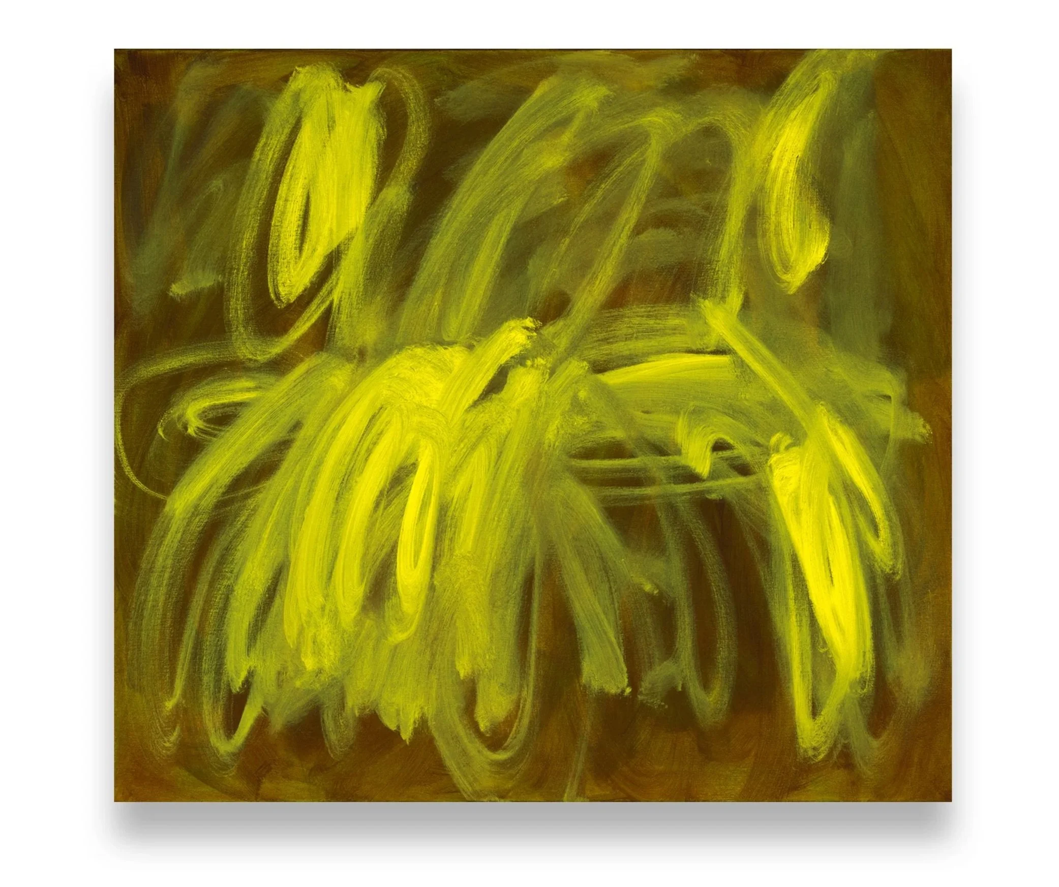 Eleanor Louise Butt, Untitled (unfolding radiance), 2026, 87 x 97cm, oil on cotton