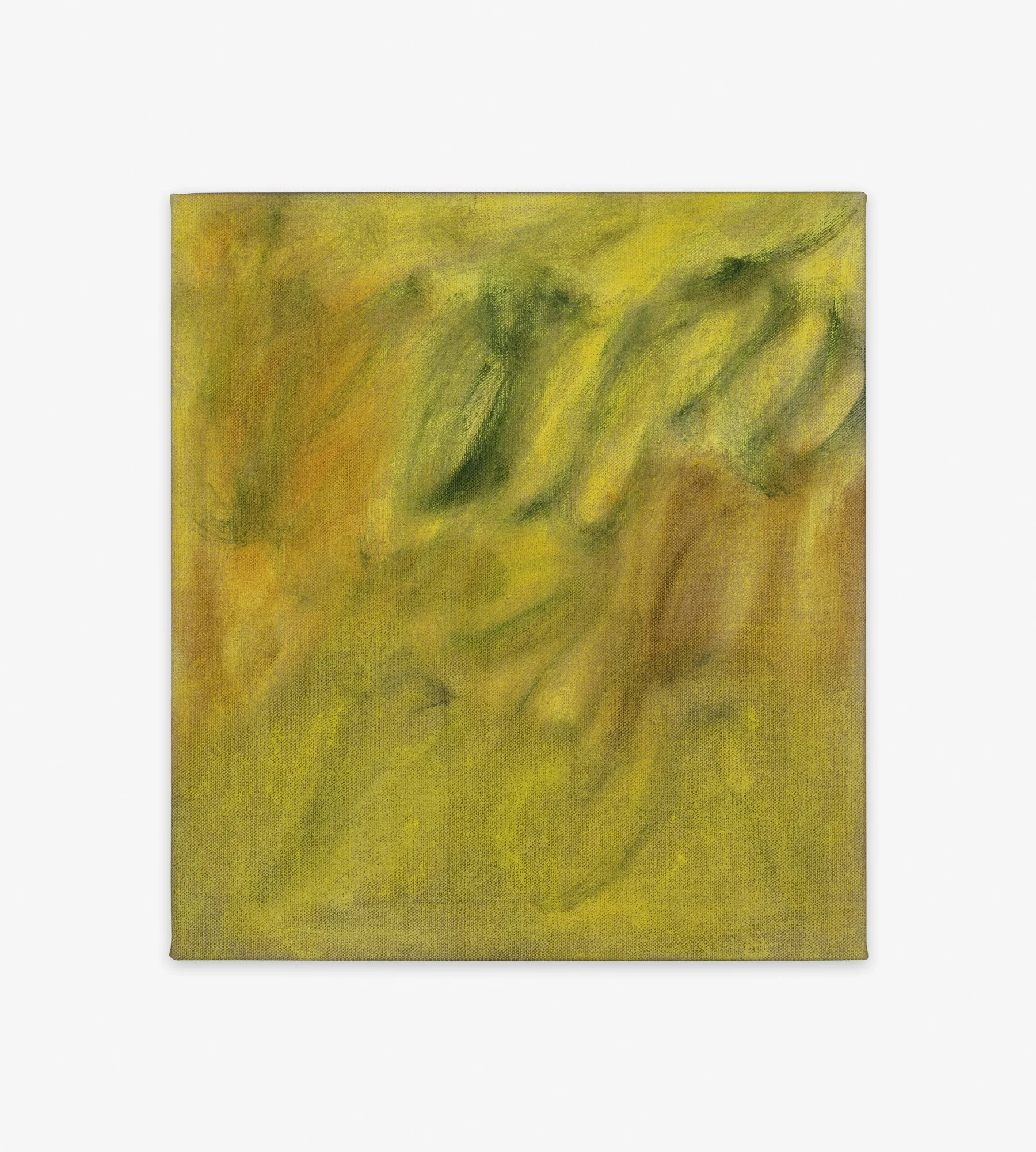 Eleanor Louise Butt_Untitled (tangled resonance : fields of motion) _2026_Oil on linen_51 x 46cm.jpg