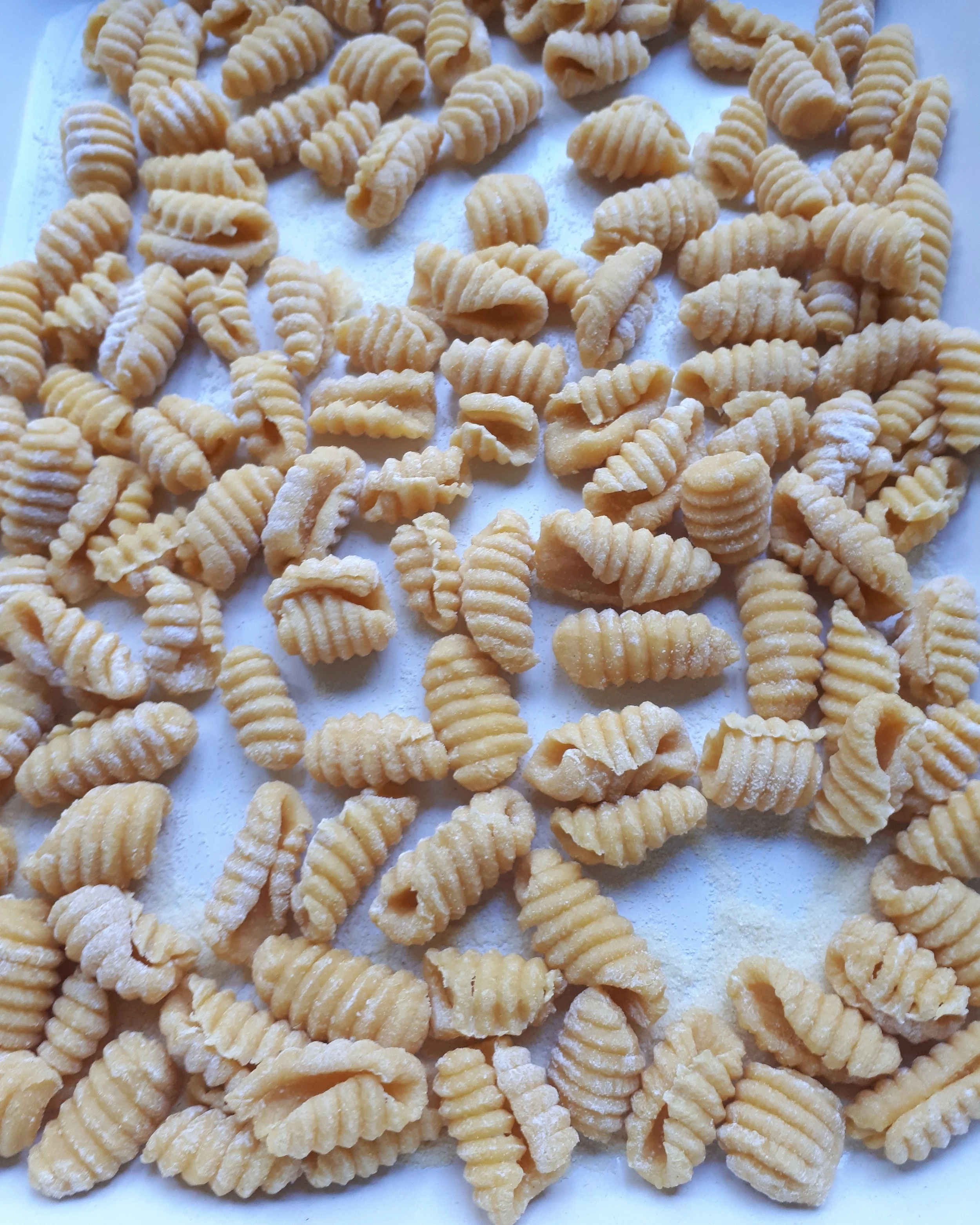 Fresh gnochetti.jpg