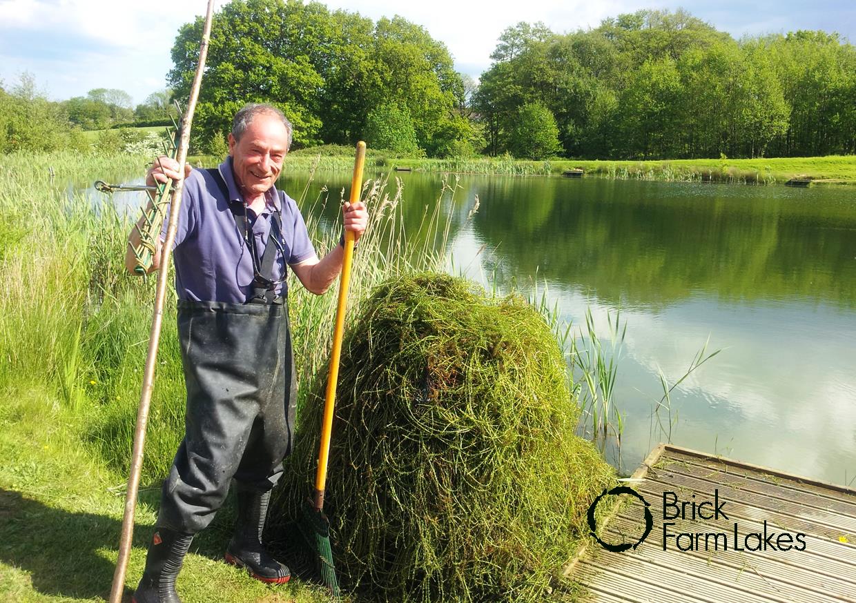 Mike “the weed” Richardson clearing weed on Well Lake