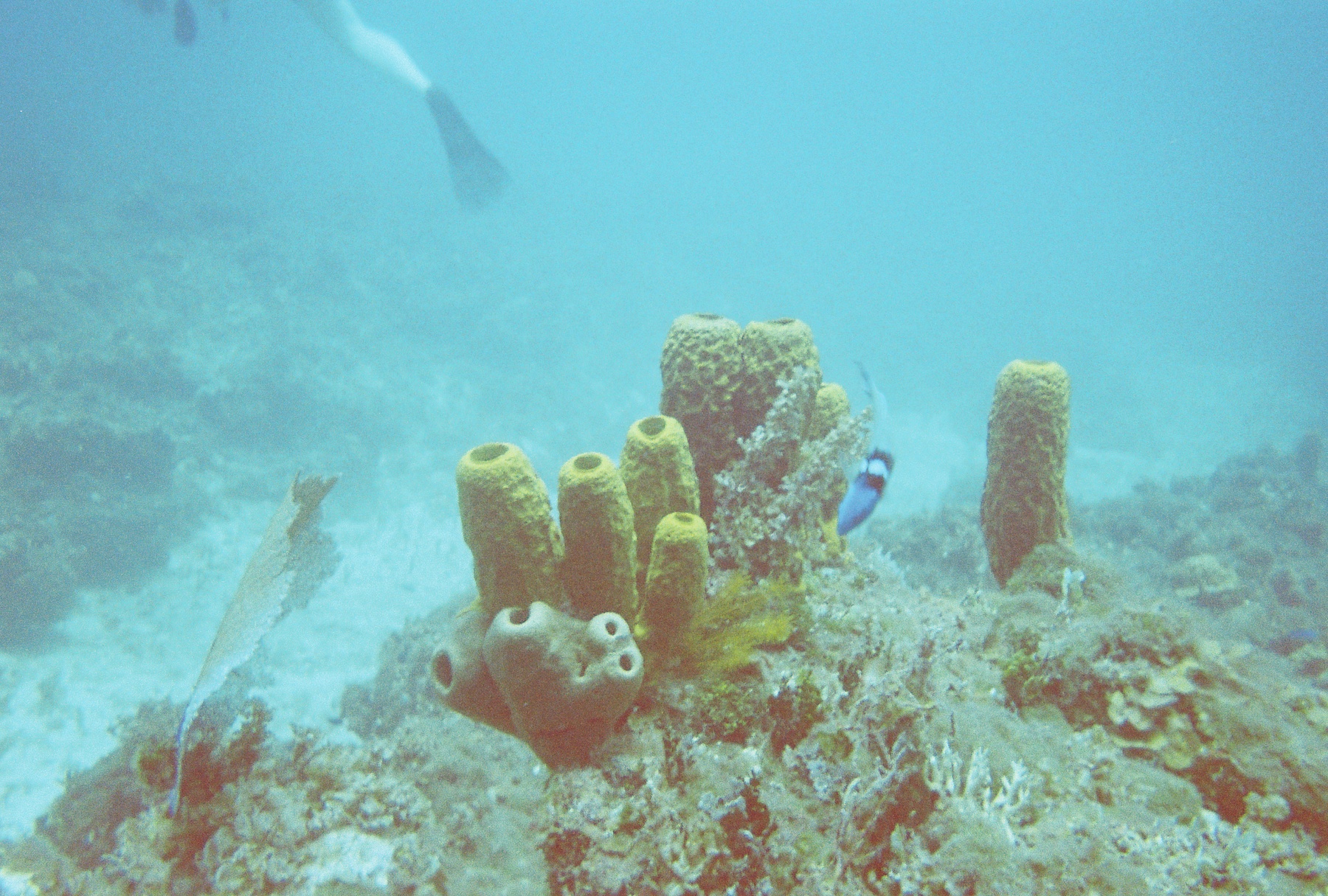 R1-05244-015A.jpg