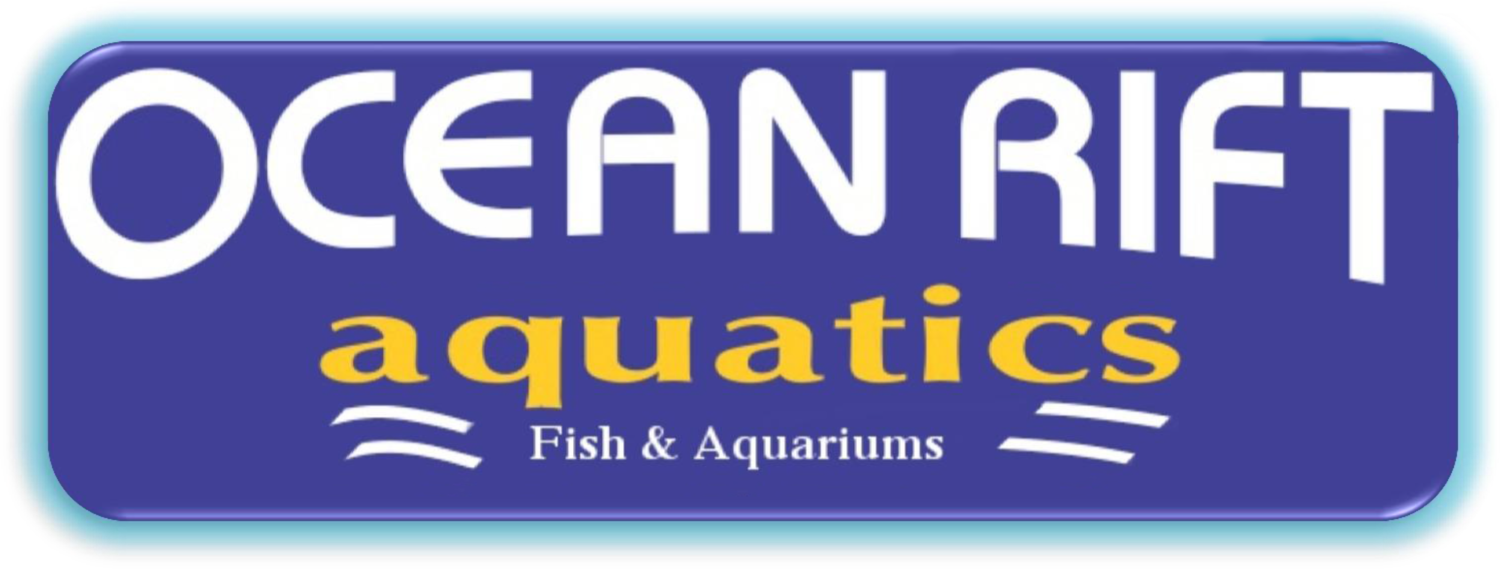 Ocean Rift Aquatics