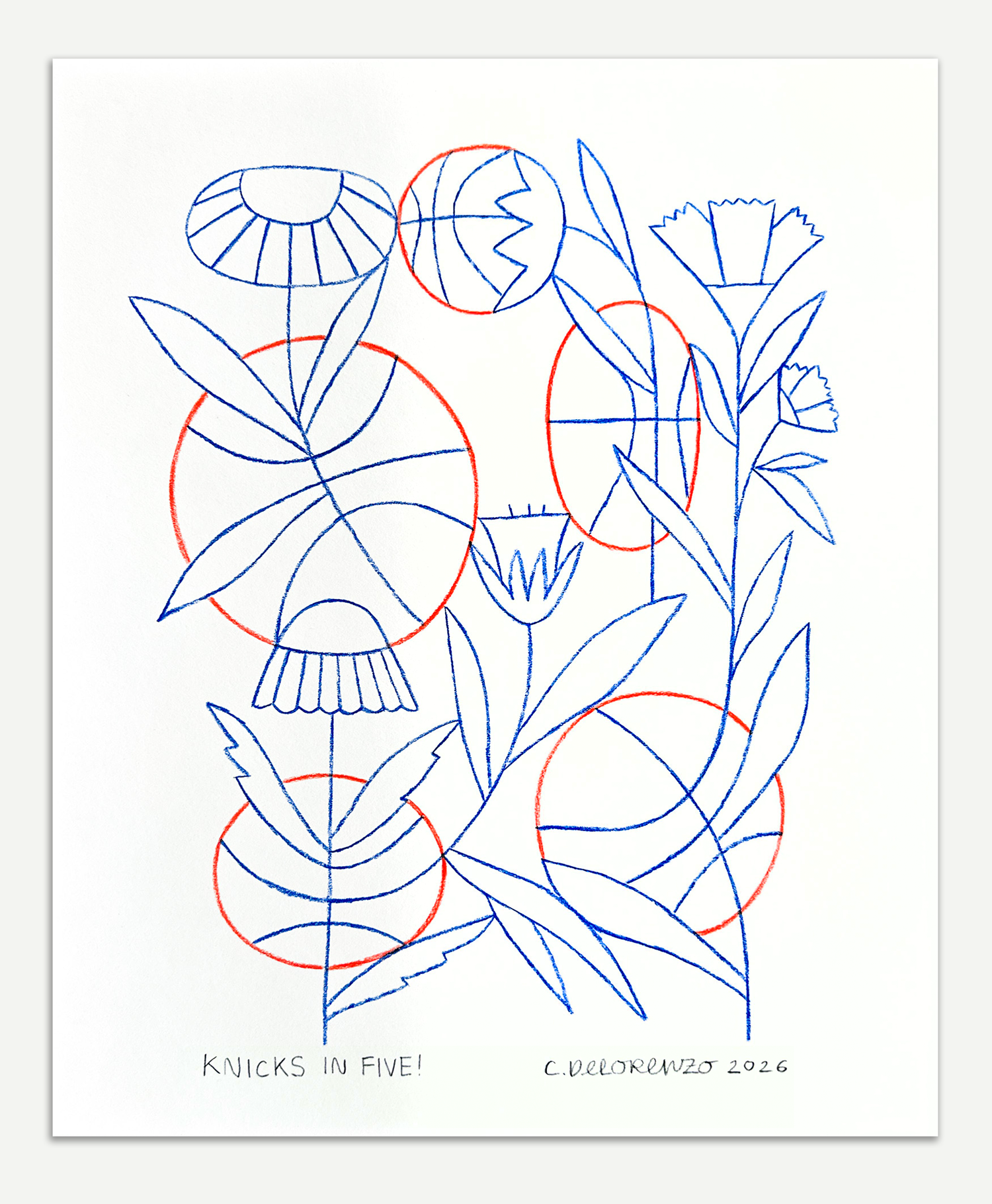 NYKnicksFlowers13.png