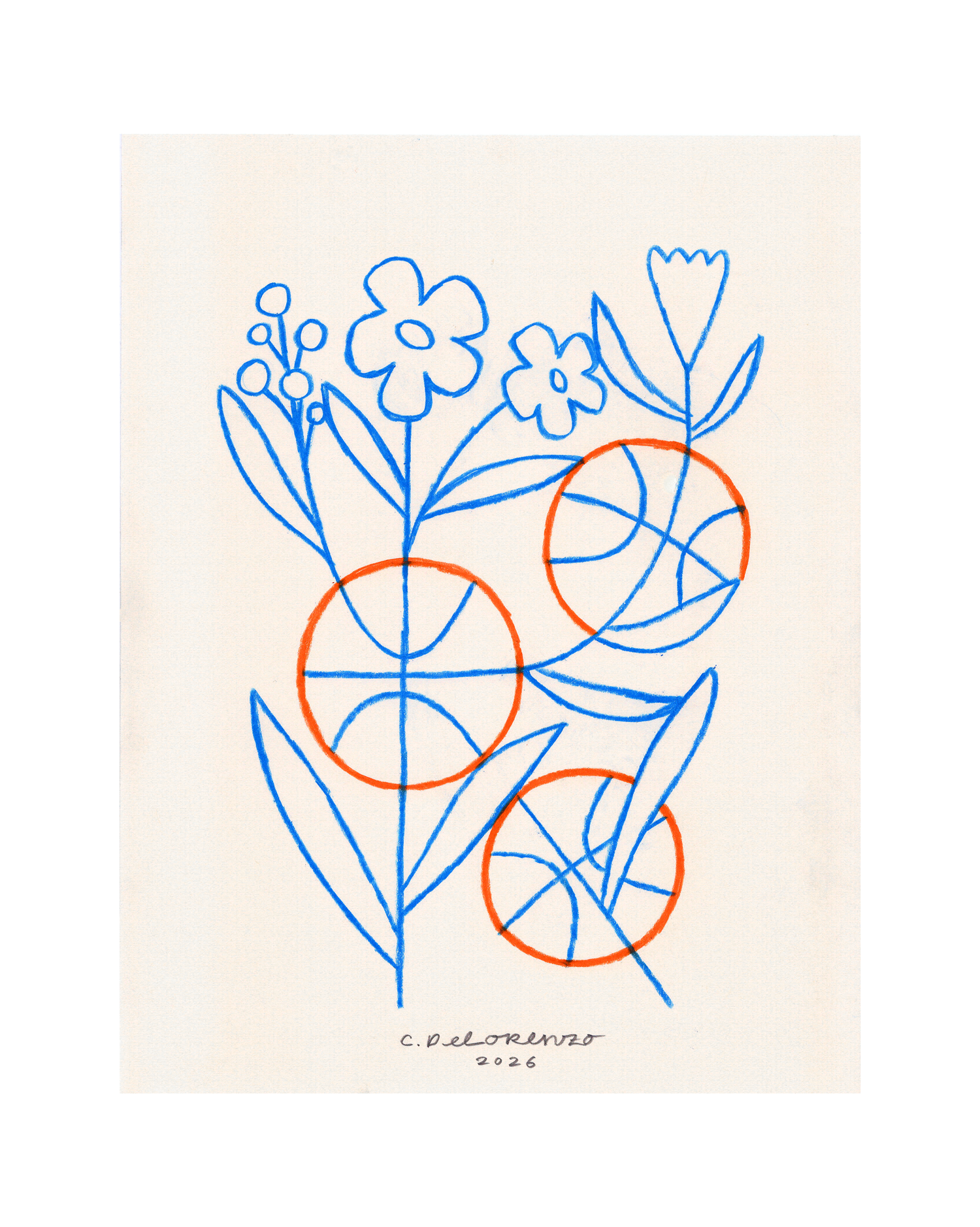 NYKnicksFlowers1_web.png
