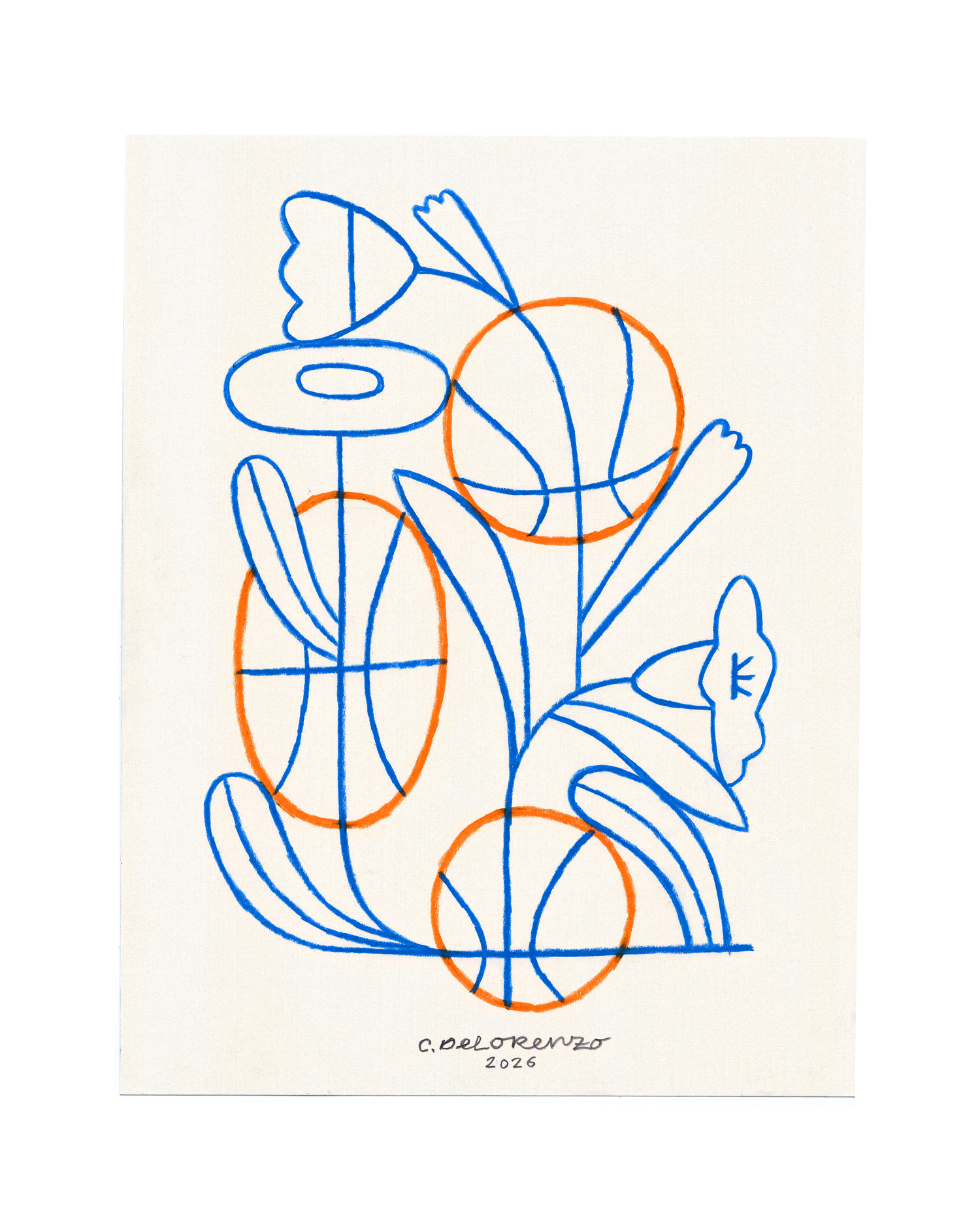 NYKnicksFlowers4_web.png